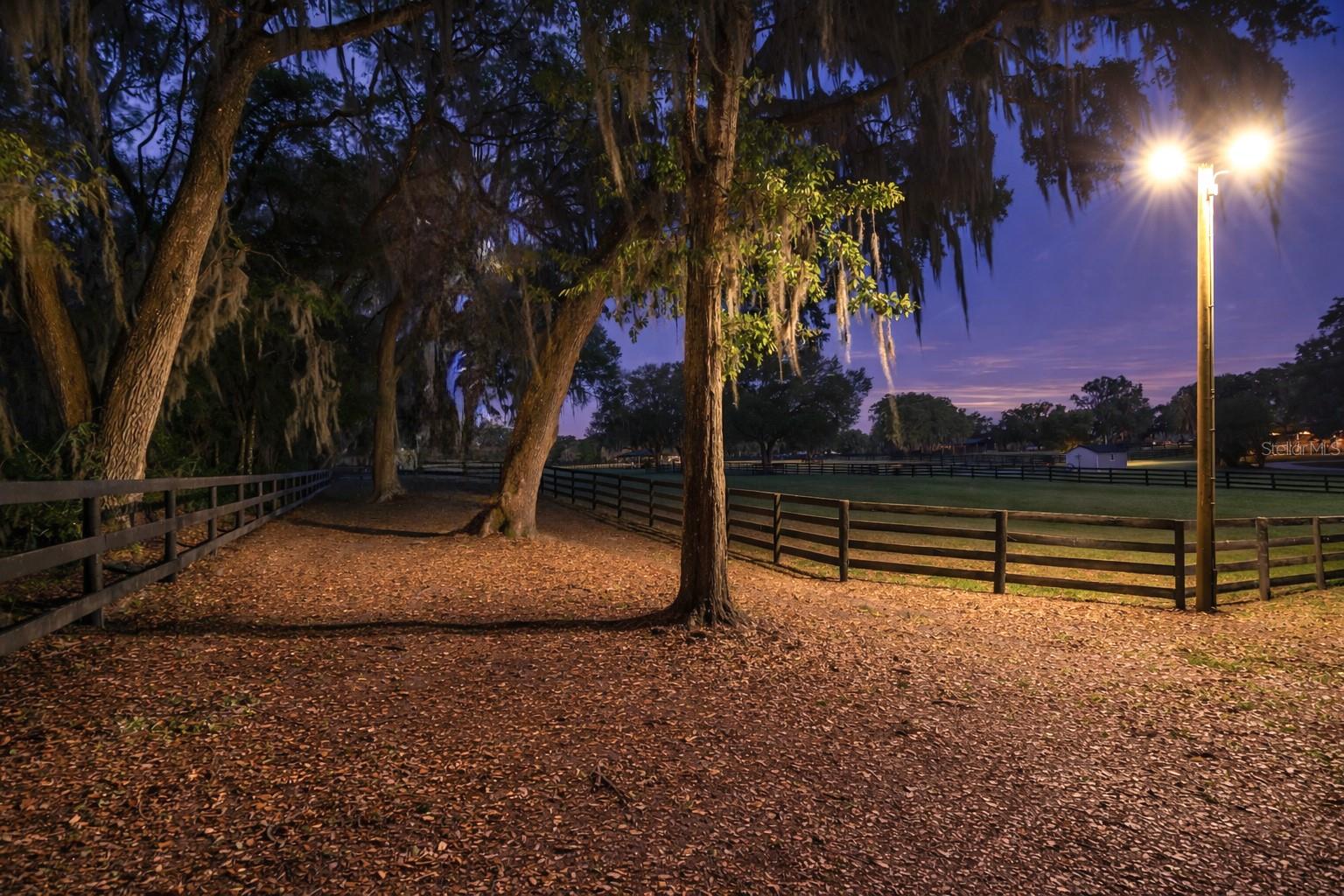 14650 NW 160TH AVE, WILLISTON, FL — photo 8