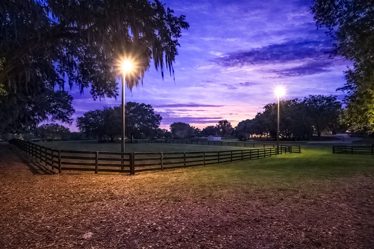 14650 NW 160TH AVE, WILLISTON, FL — photo 9