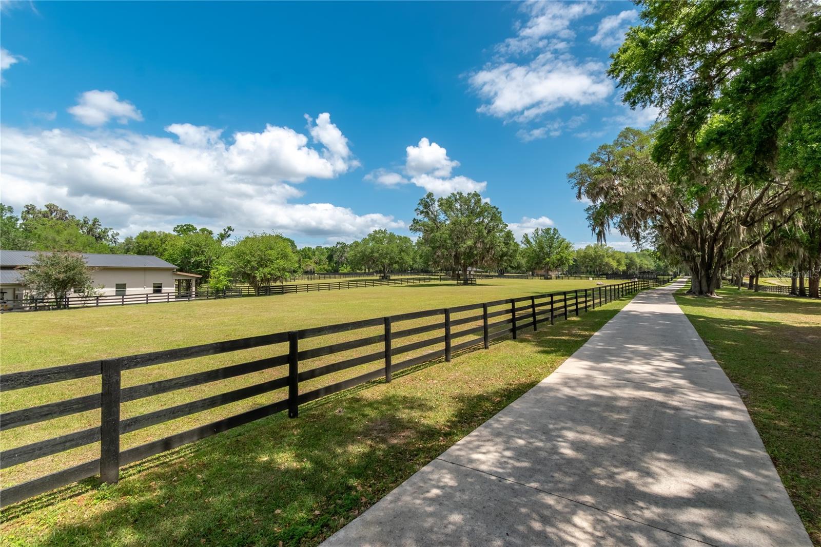 14650 NW 160TH AVE, WILLISTON, FL — photo 24