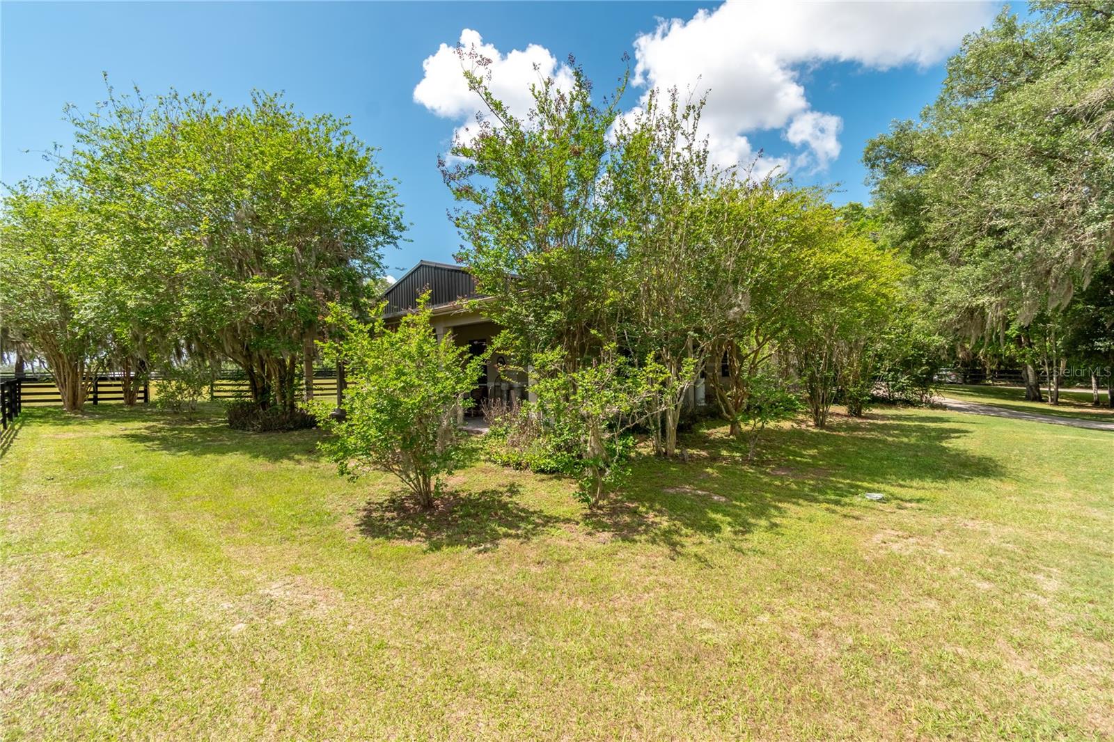 14650 NW 160TH AVE, WILLISTON, FL — photo 61