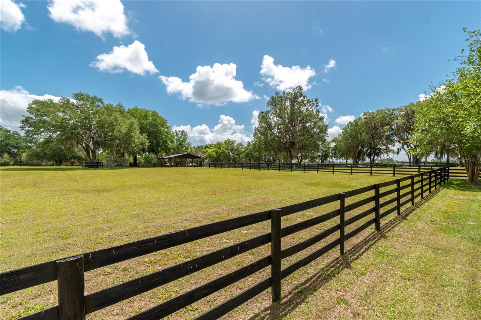 14650 NW 160TH AVE, WILLISTON, FL — photo 62