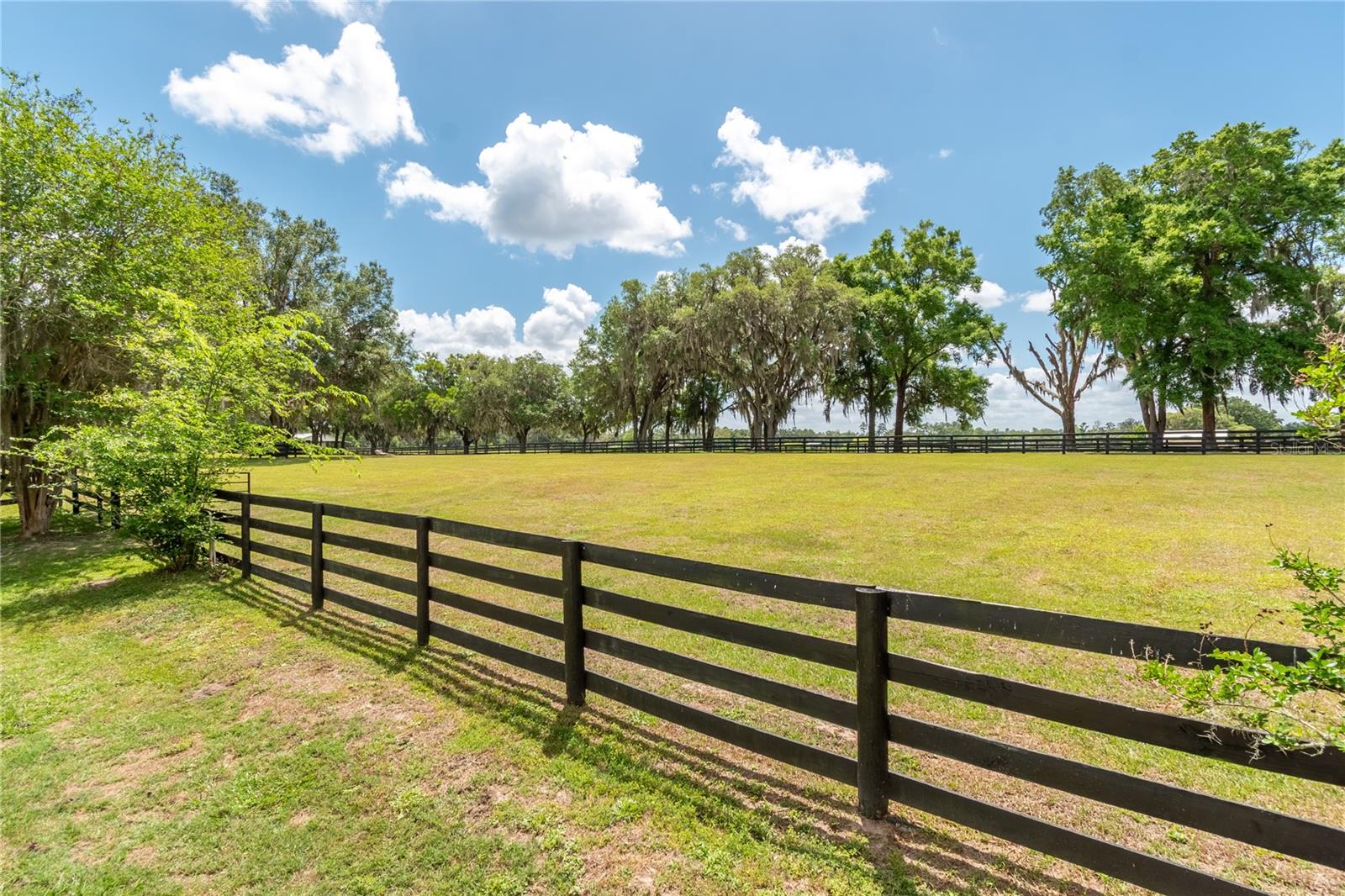 14650 NW 160TH AVE, WILLISTON, FL — photo 63
