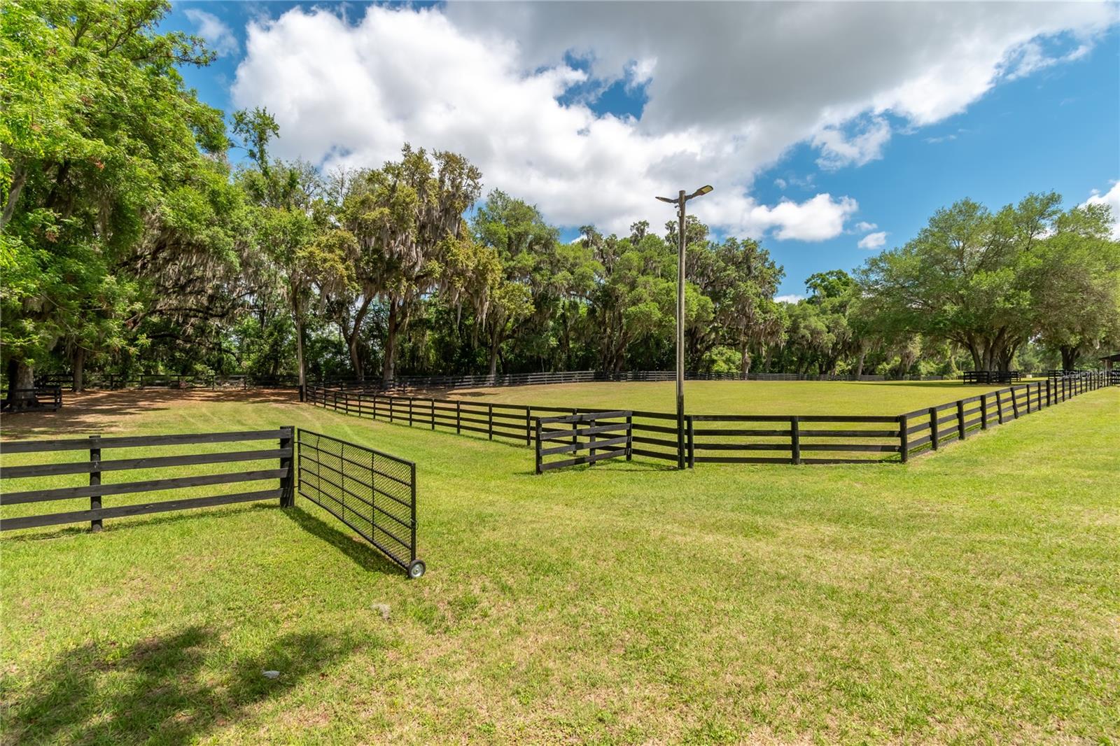 14650 NW 160TH AVE, WILLISTON, FL — photo 65