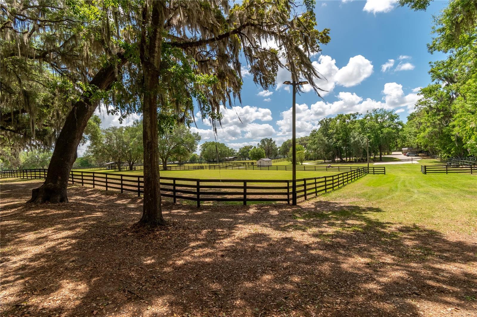 14650 NW 160TH AVE, WILLISTON, FL — photo 66