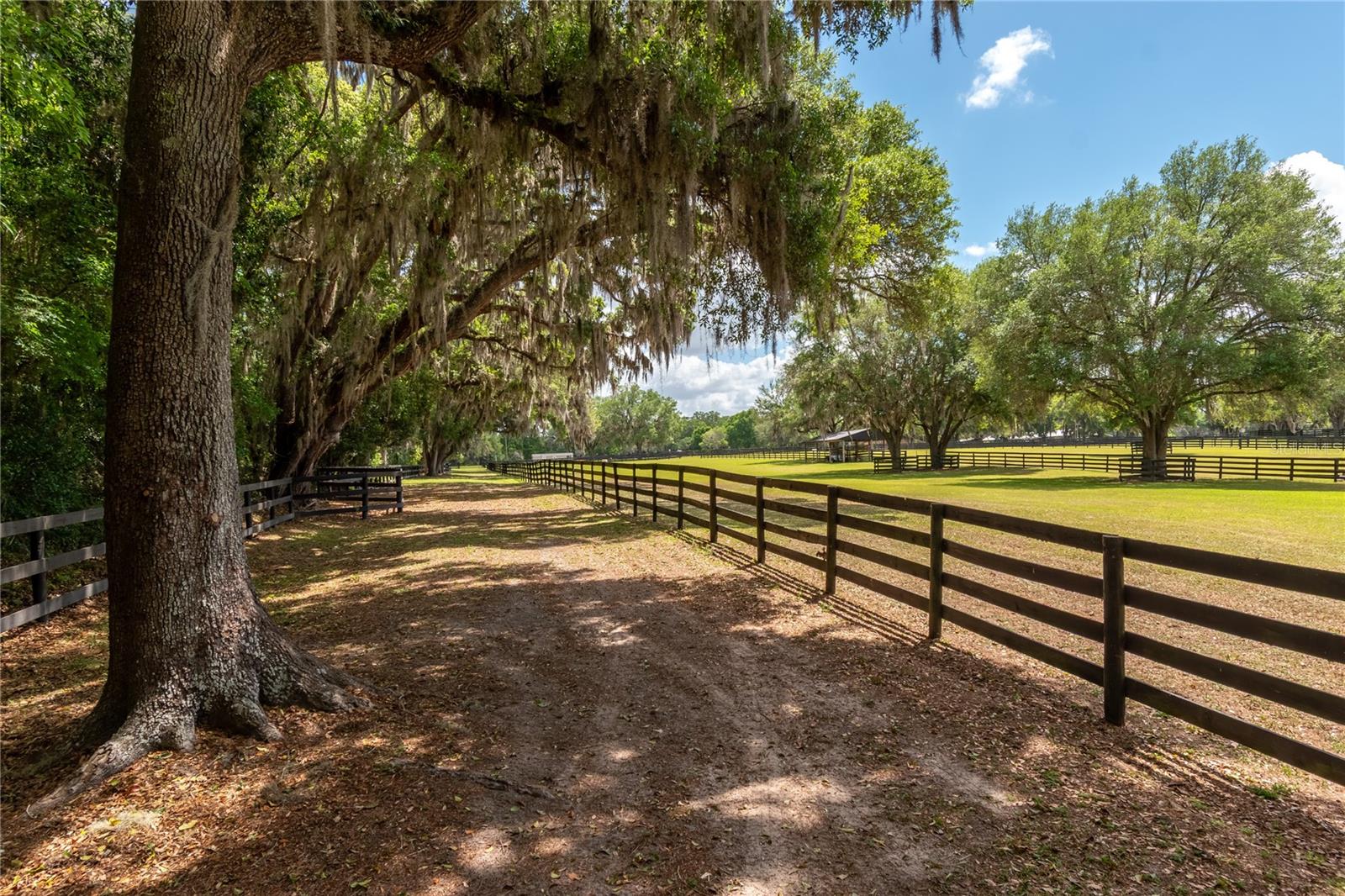 14650 NW 160TH AVE, WILLISTON, FL — photo 67