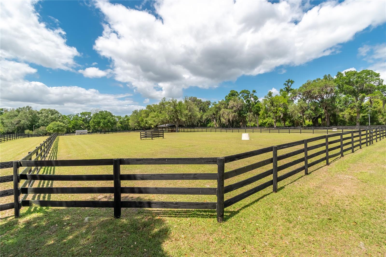 14650 NW 160TH AVE, WILLISTON, FL — photo 69