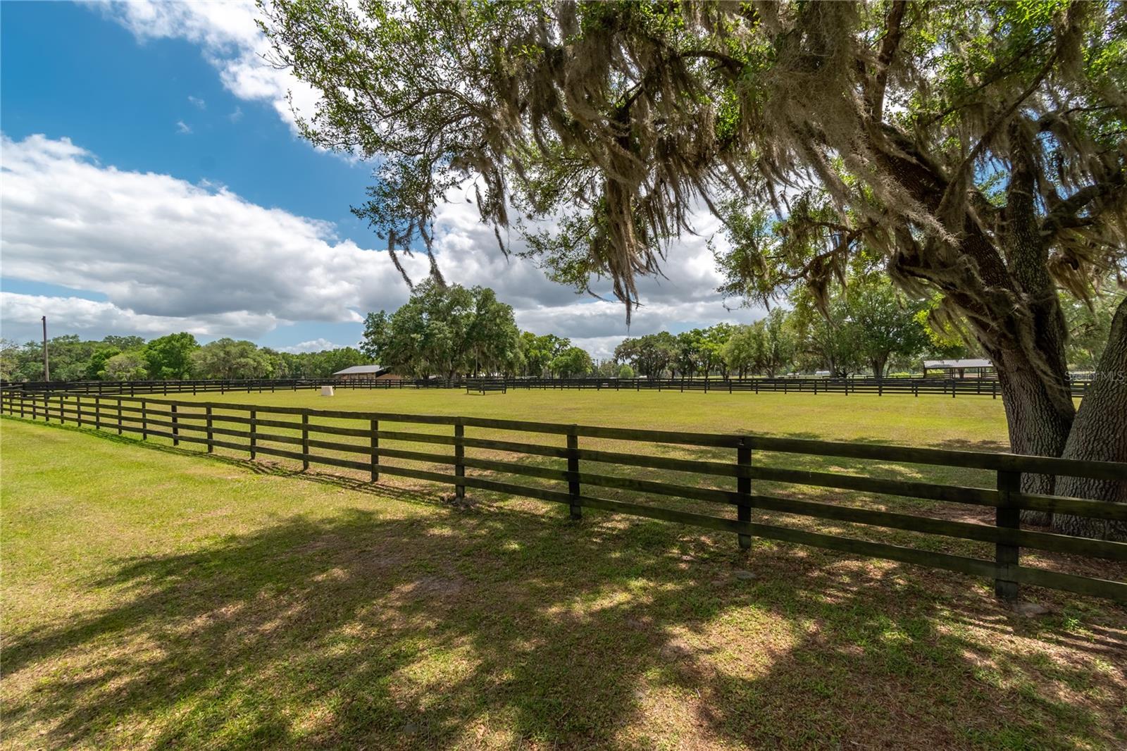 14650 NW 160TH AVE, WILLISTON, FL — photo 72