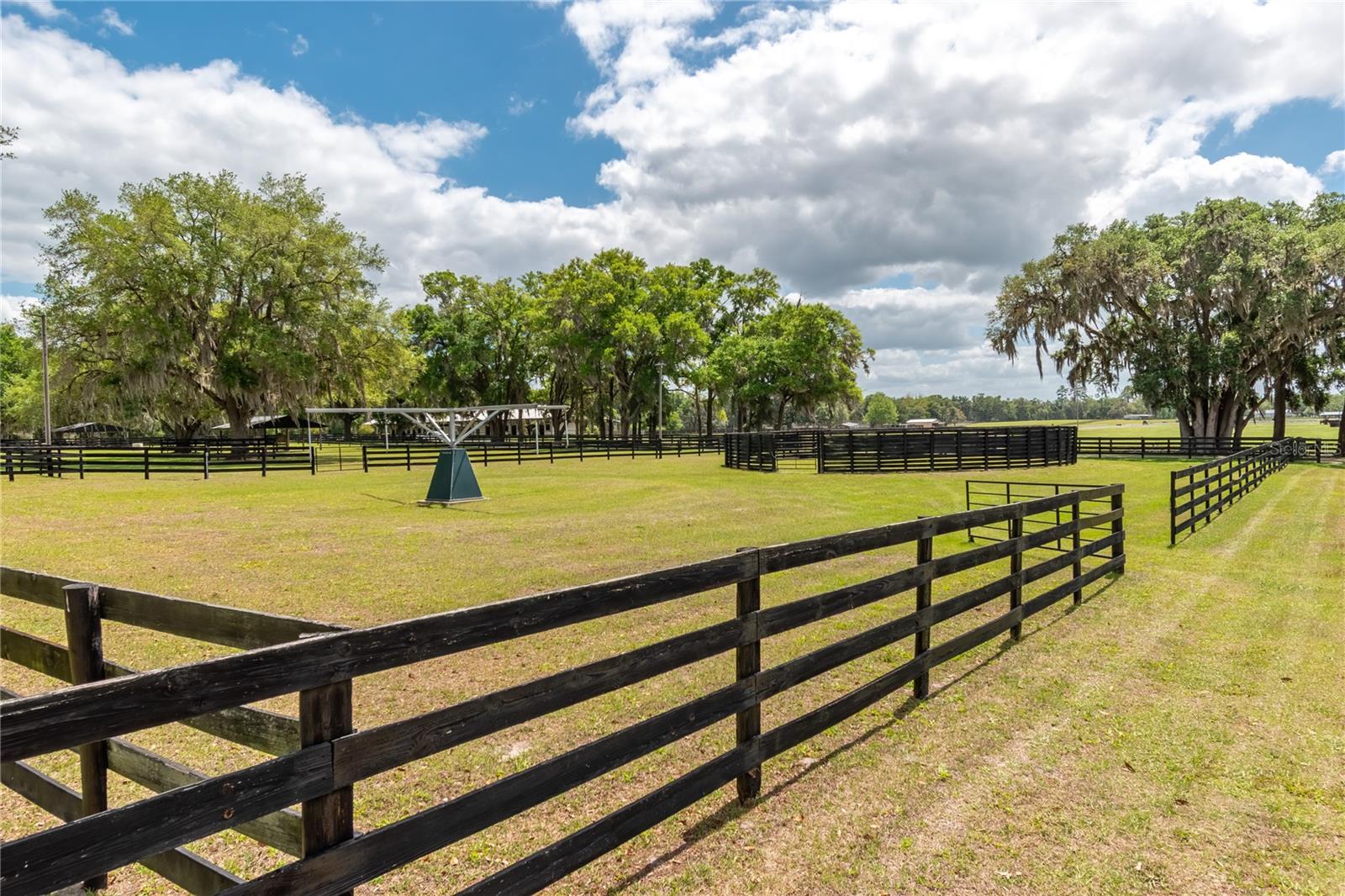 14650 NW 160TH AVE, WILLISTON, FL — photo 74