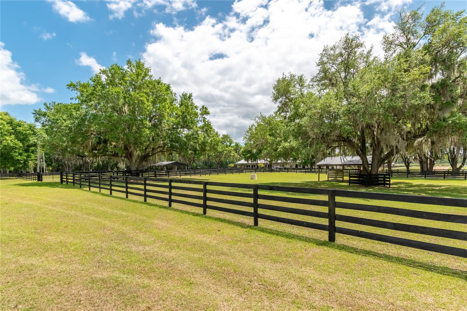 14650 NW 160TH AVE, WILLISTON, FL — photo 81