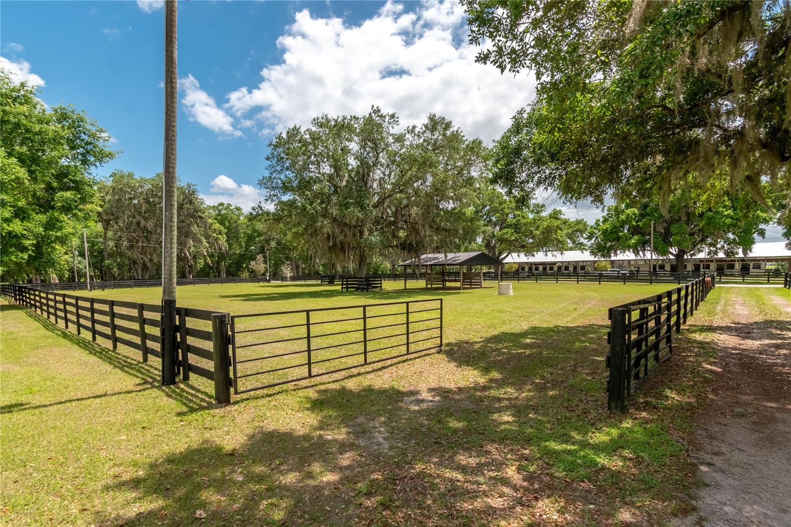 14650 NW 160TH AVE, WILLISTON, FL — photo 82