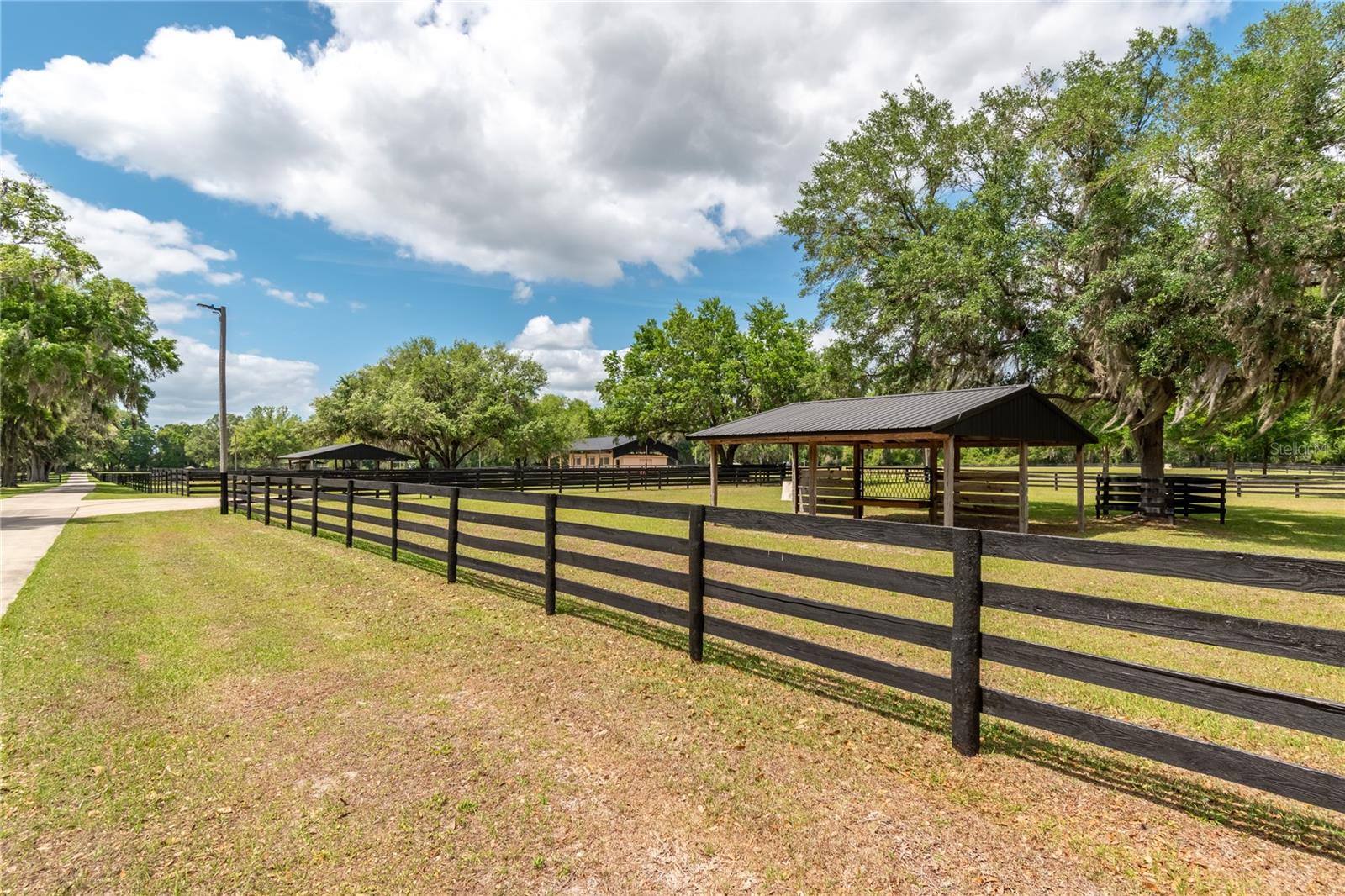14650 NW 160TH AVE, WILLISTON, FL — photo 84
