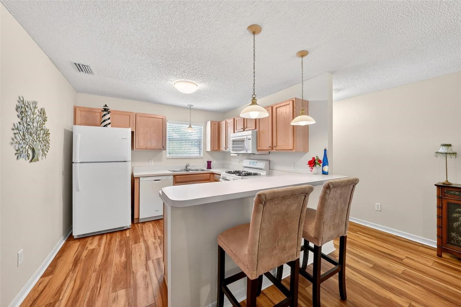1088 GENNESSE LN, THE VILLAGES, FL — photo 9