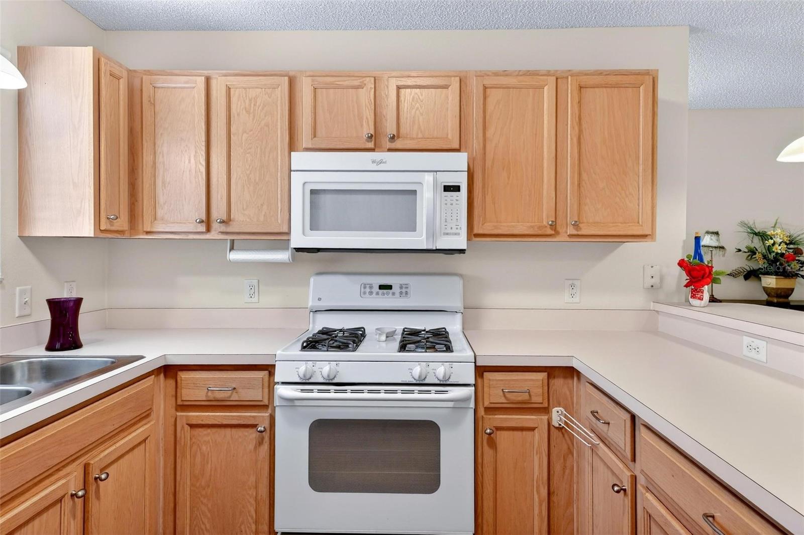 1088 GENNESSE LN, THE VILLAGES, FL — photo 15