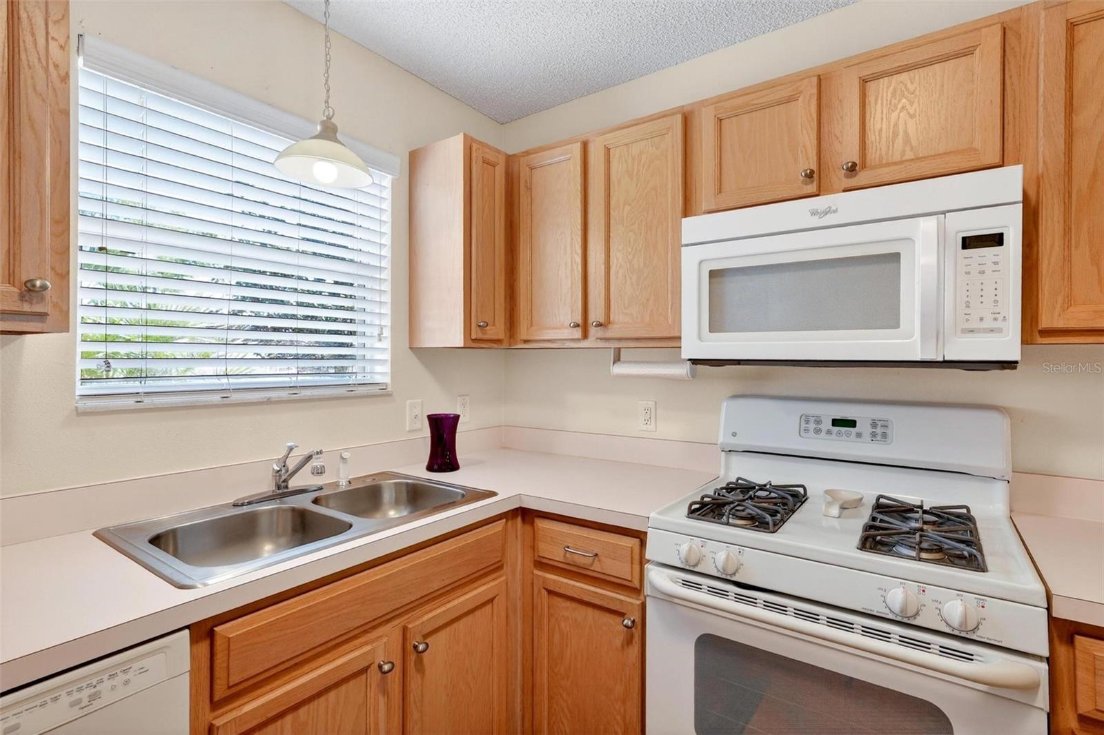 1088 GENNESSE LN, THE VILLAGES, FL — photo 16