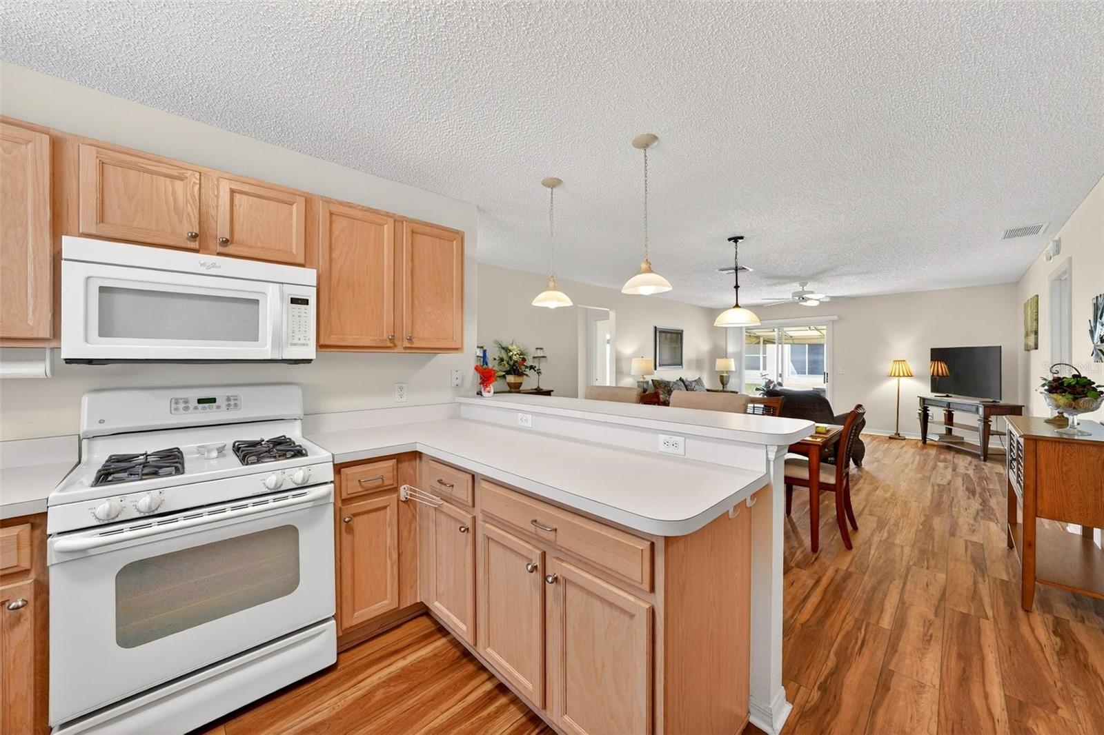 1088 GENNESSE LN, THE VILLAGES, FL — photo 17