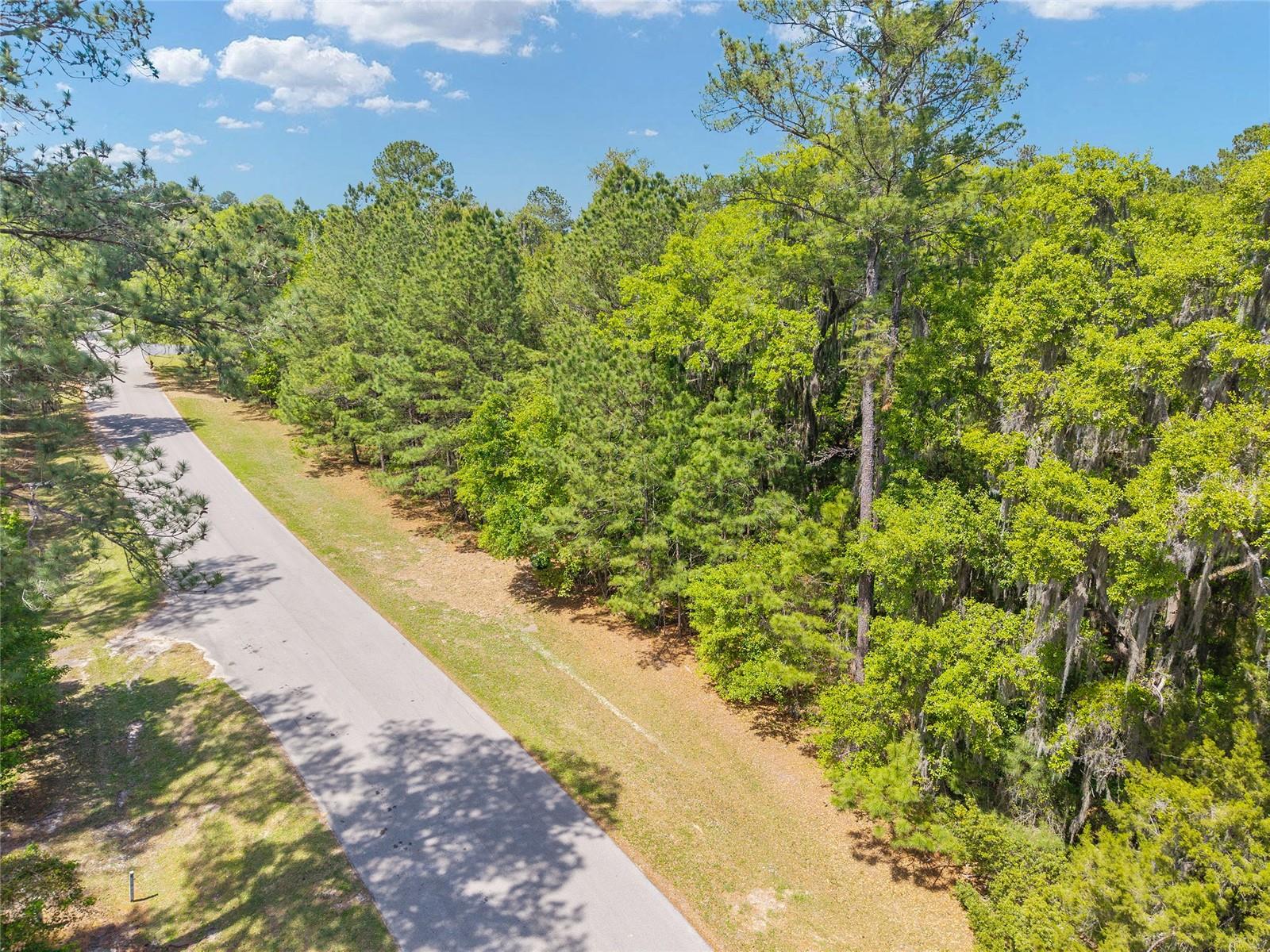 TBD SW 144 COURT RD, OCALA, FL — photo 6