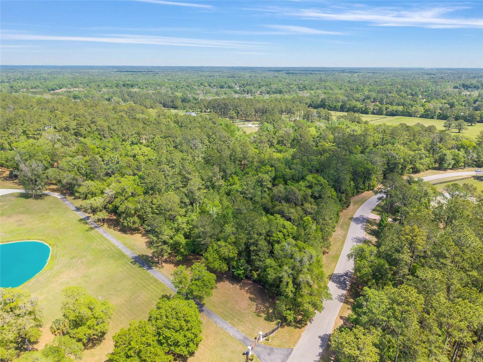 TBD SW 144 COURT RD, OCALA, FL — photo 9
