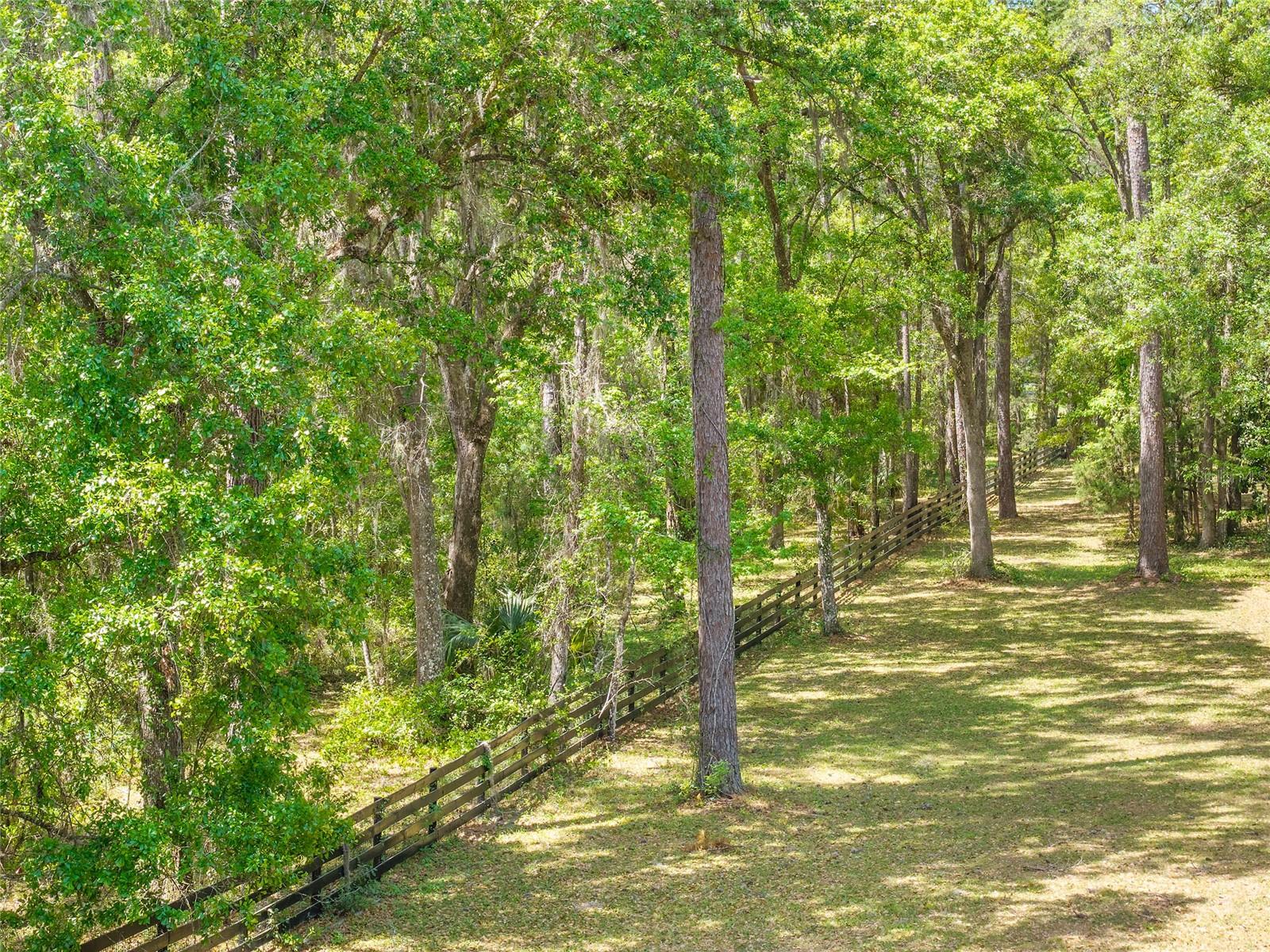 TBD SW 144 COURT RD, OCALA, FL — photo 19