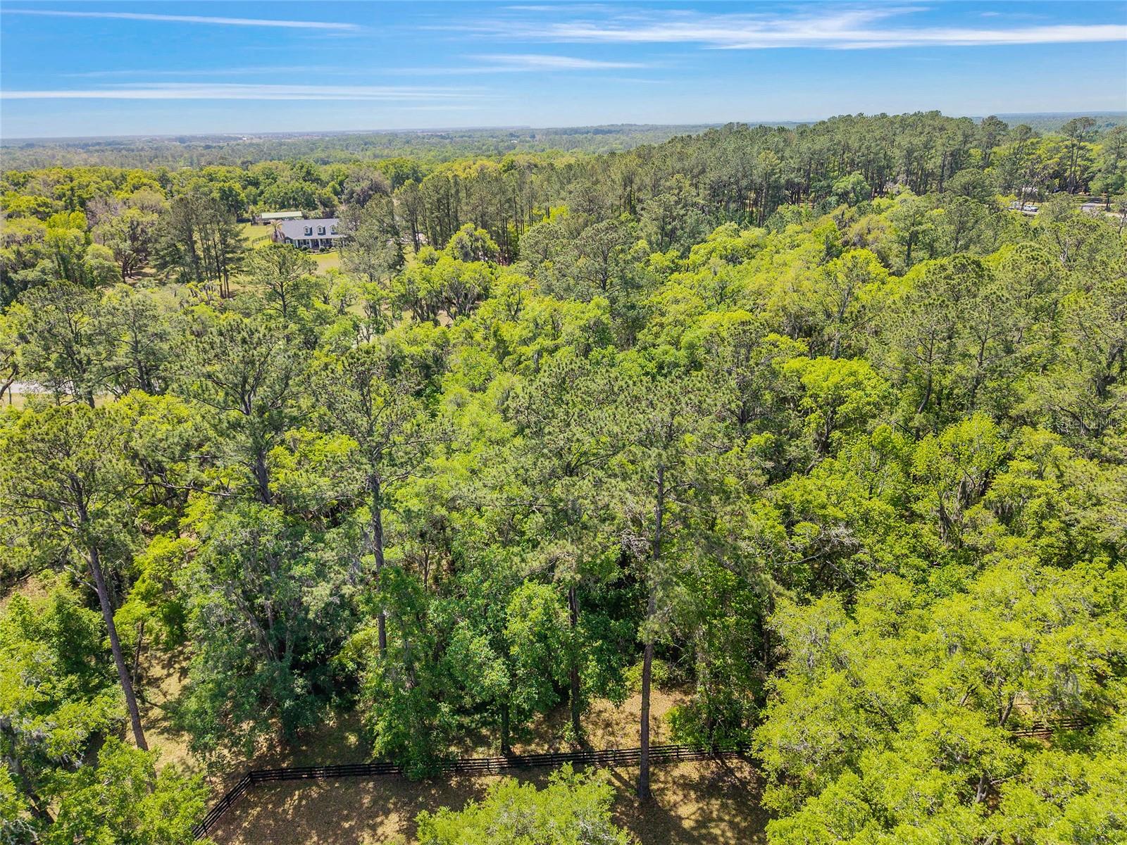 TBD SW 144 COURT RD, OCALA, FL — photo 20