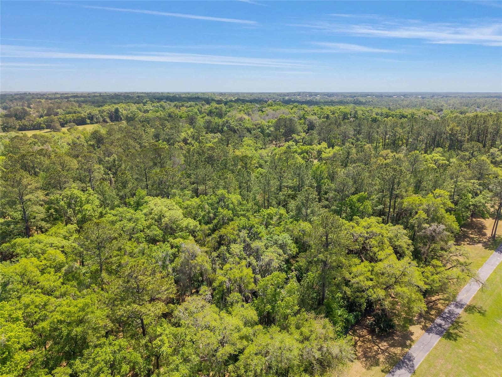 TBD SW 144 COURT RD, OCALA, FL — photo 22