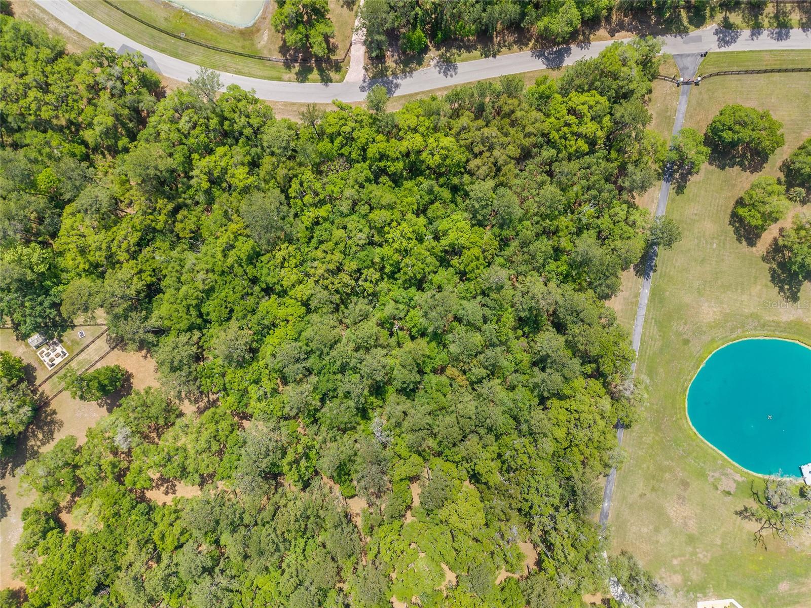 TBD SW 144 COURT RD, OCALA, FL — photo 23