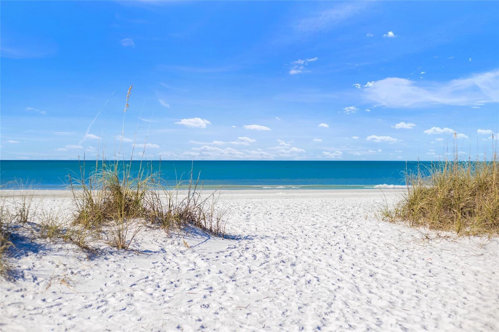 209 WILLOW AVE, ANNA MARIA, FL — photo 81