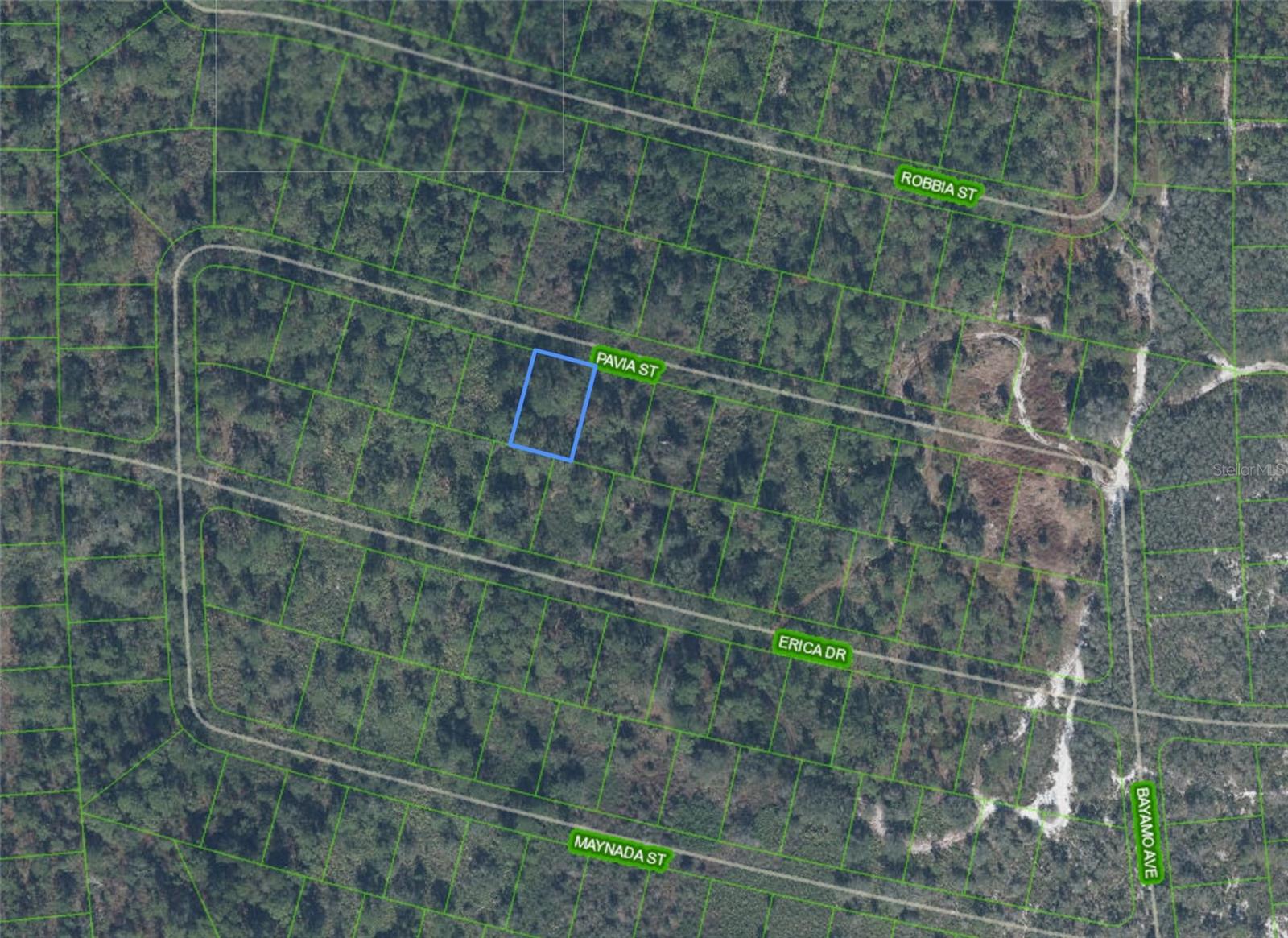 8655 PAVIA ST, SEBRING, FL