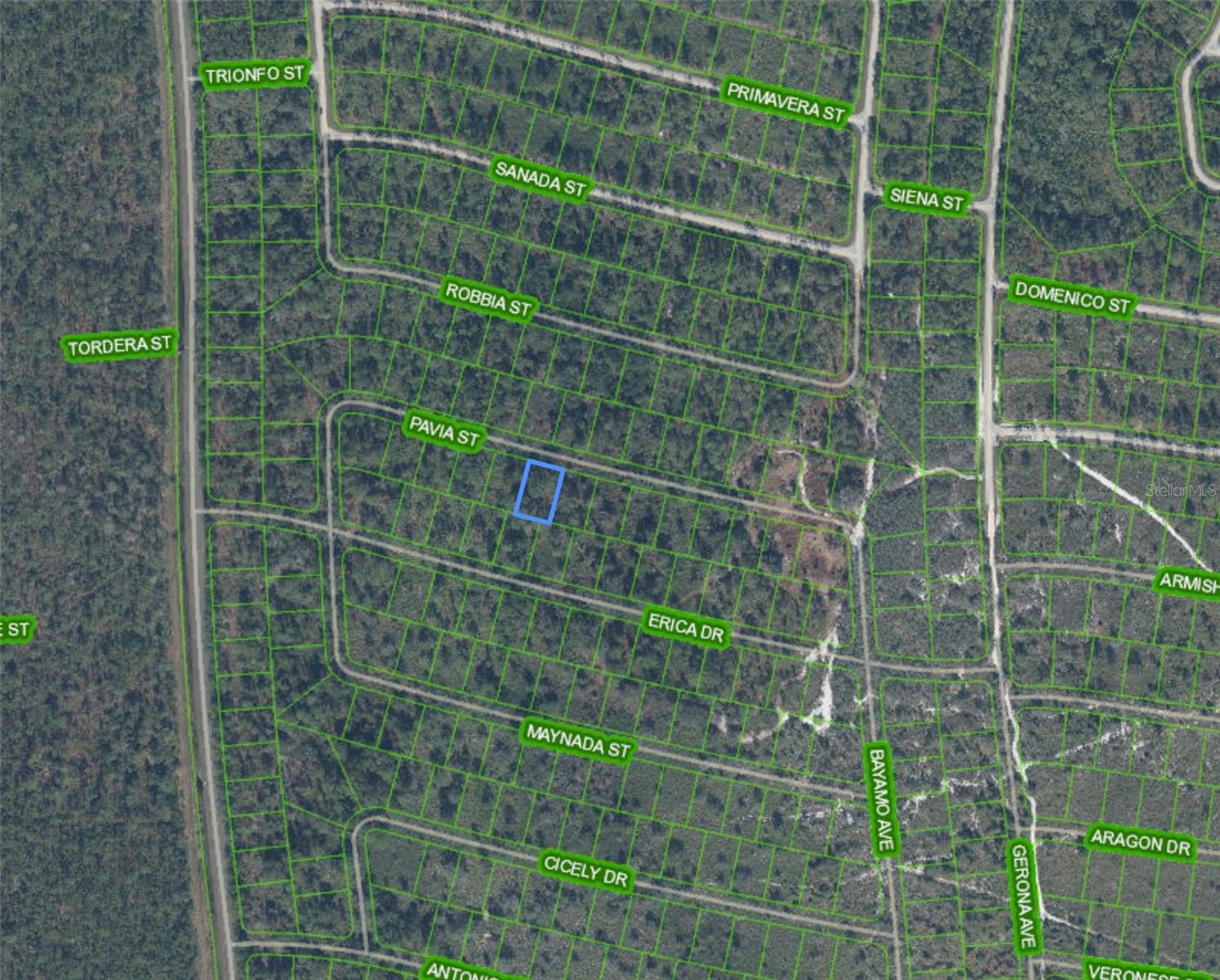 8655 PAVIA ST, SEBRING, FL — photo 2