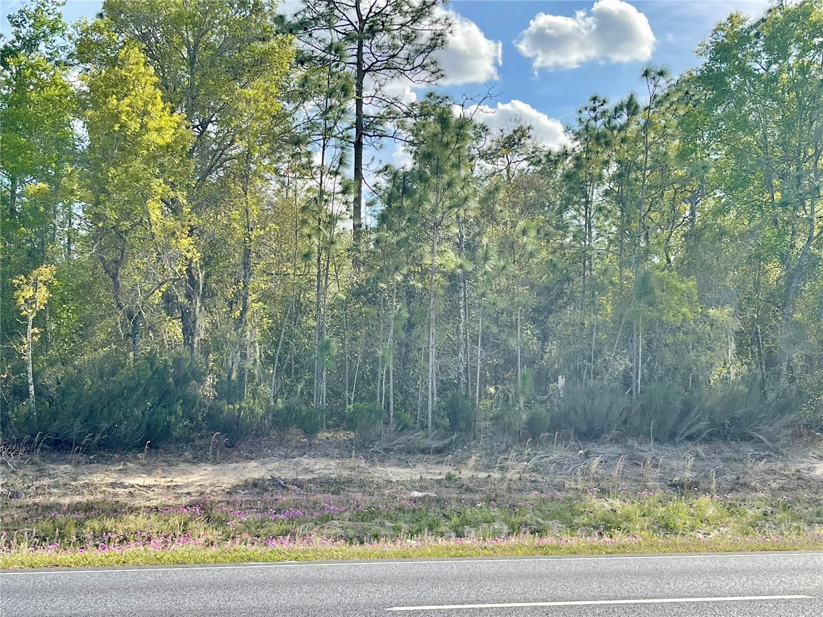 TBD NE HIGHWAY 27 ALT, WILLISTON, FL