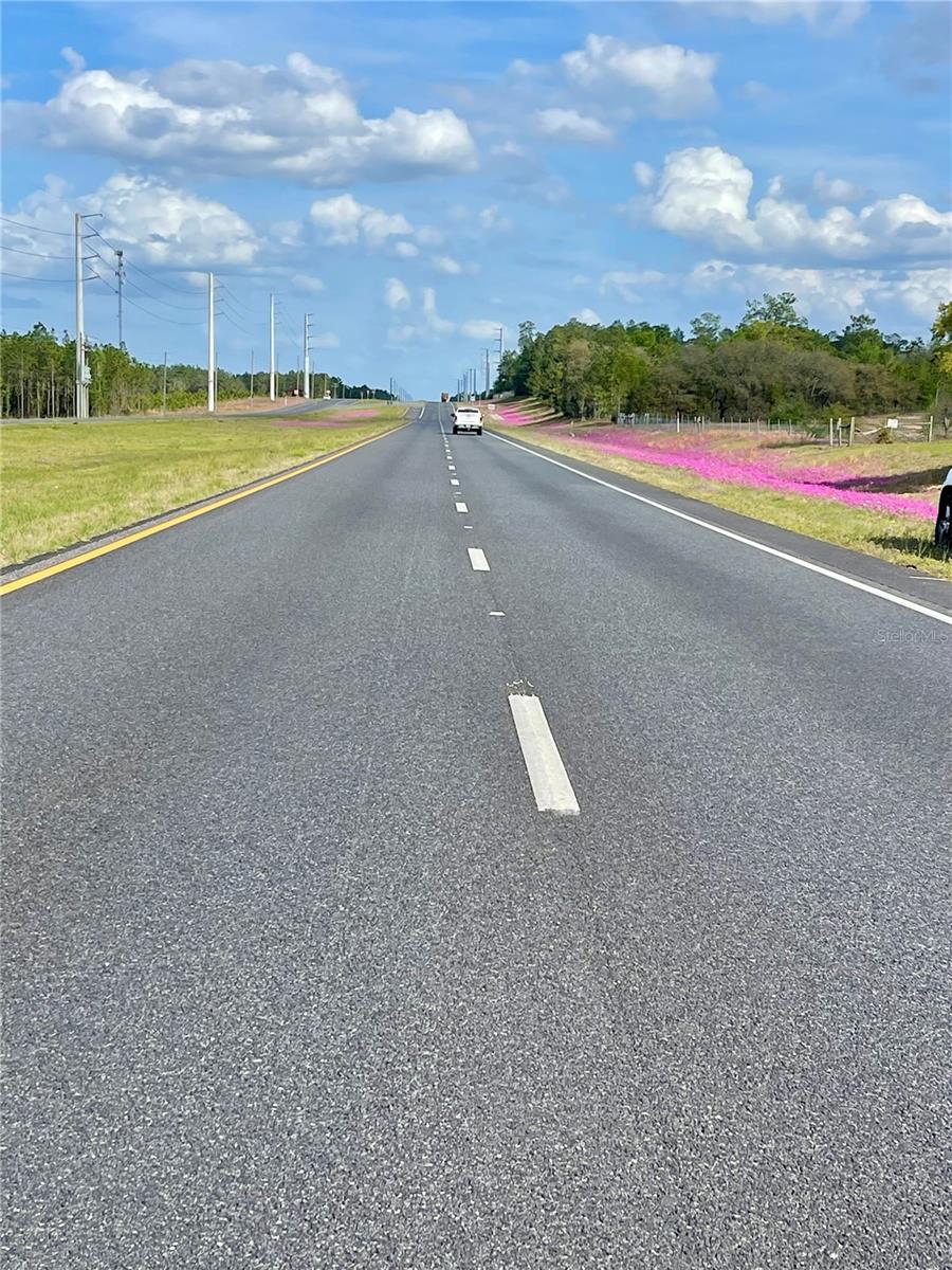 TBD NE HIGHWAY 27 ALT, WILLISTON, FL — photo 3