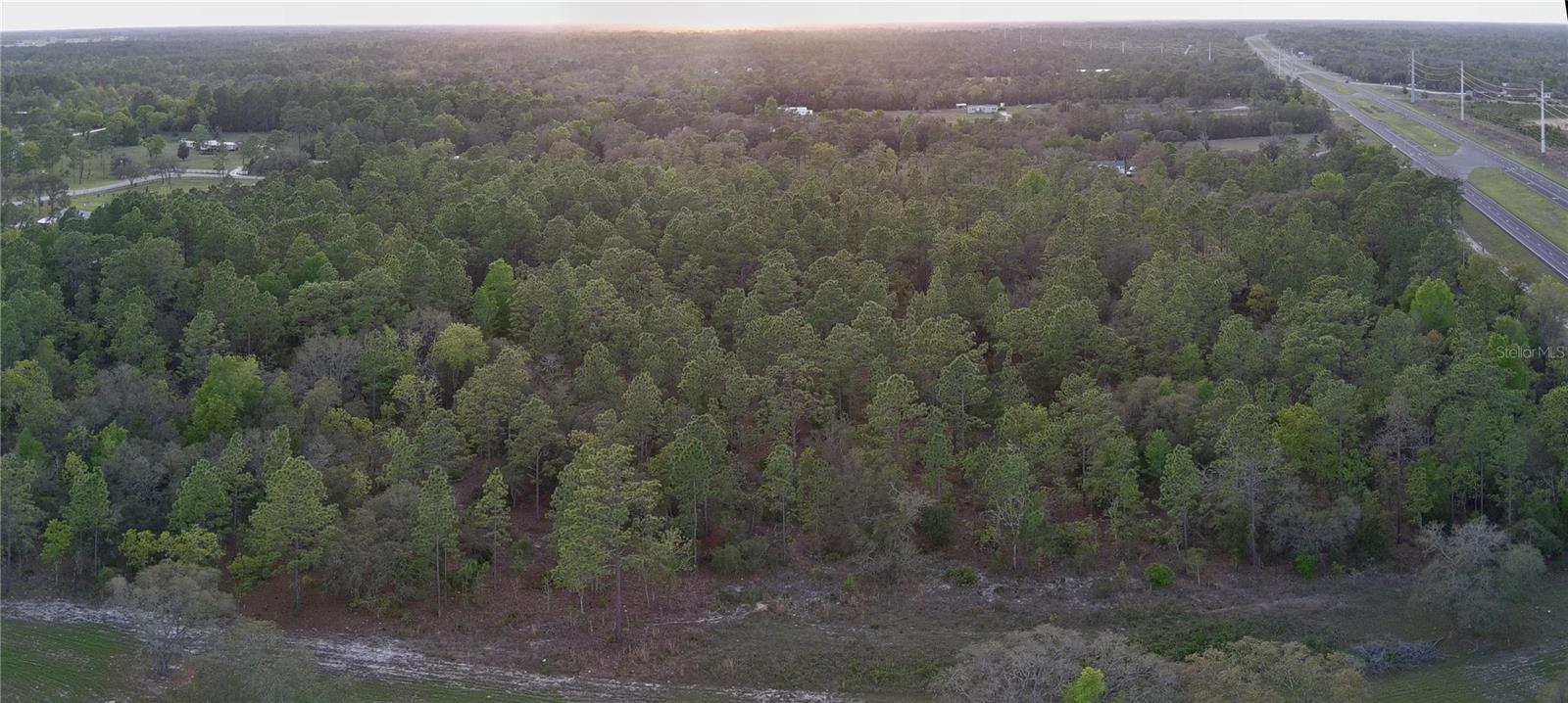 TBD NE HIGHWAY 27 ALT, WILLISTON, FL — photo 4