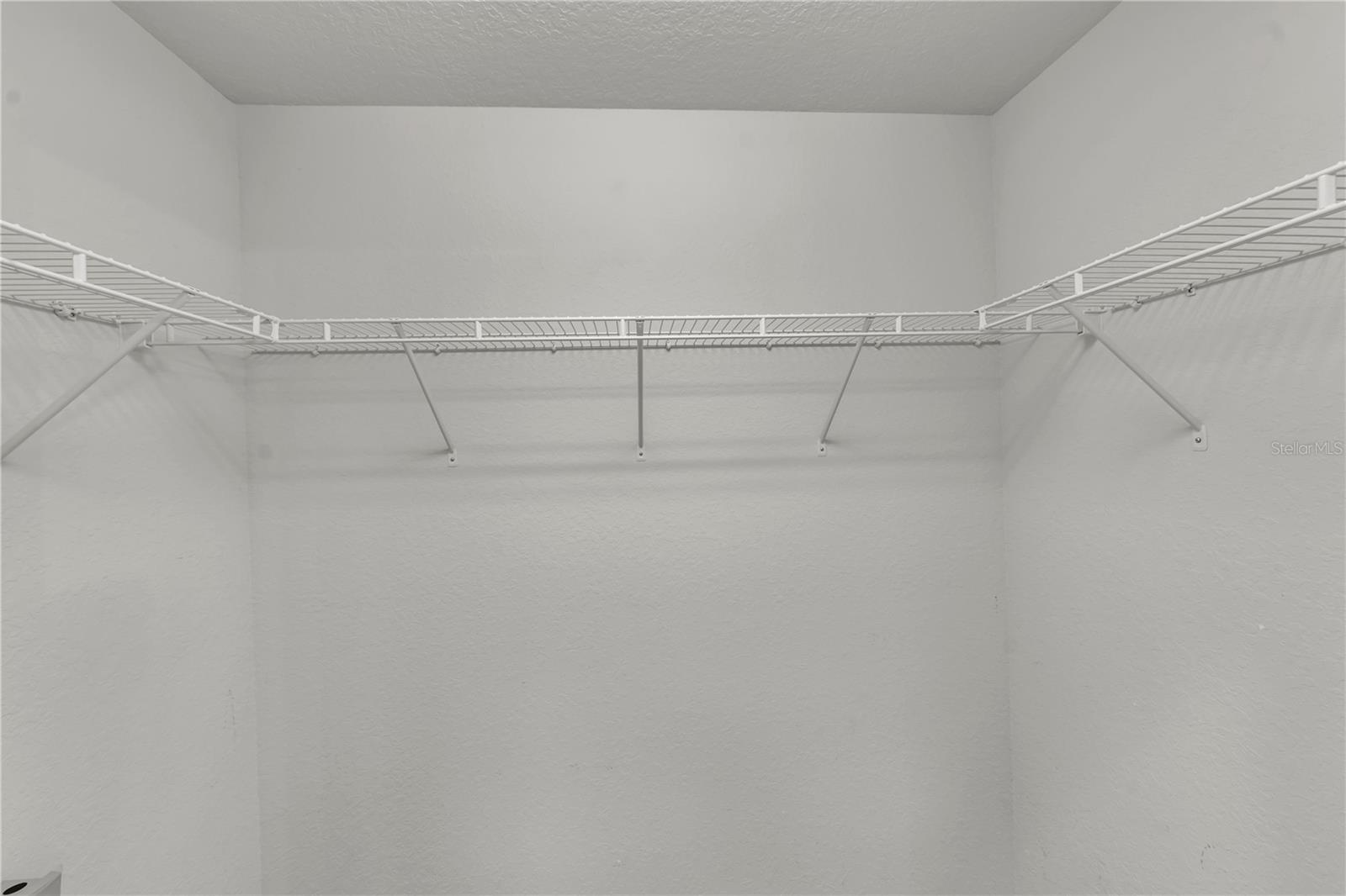 1715 HAMMOCKS AVE #1715, LUTZ, FL — photo 29