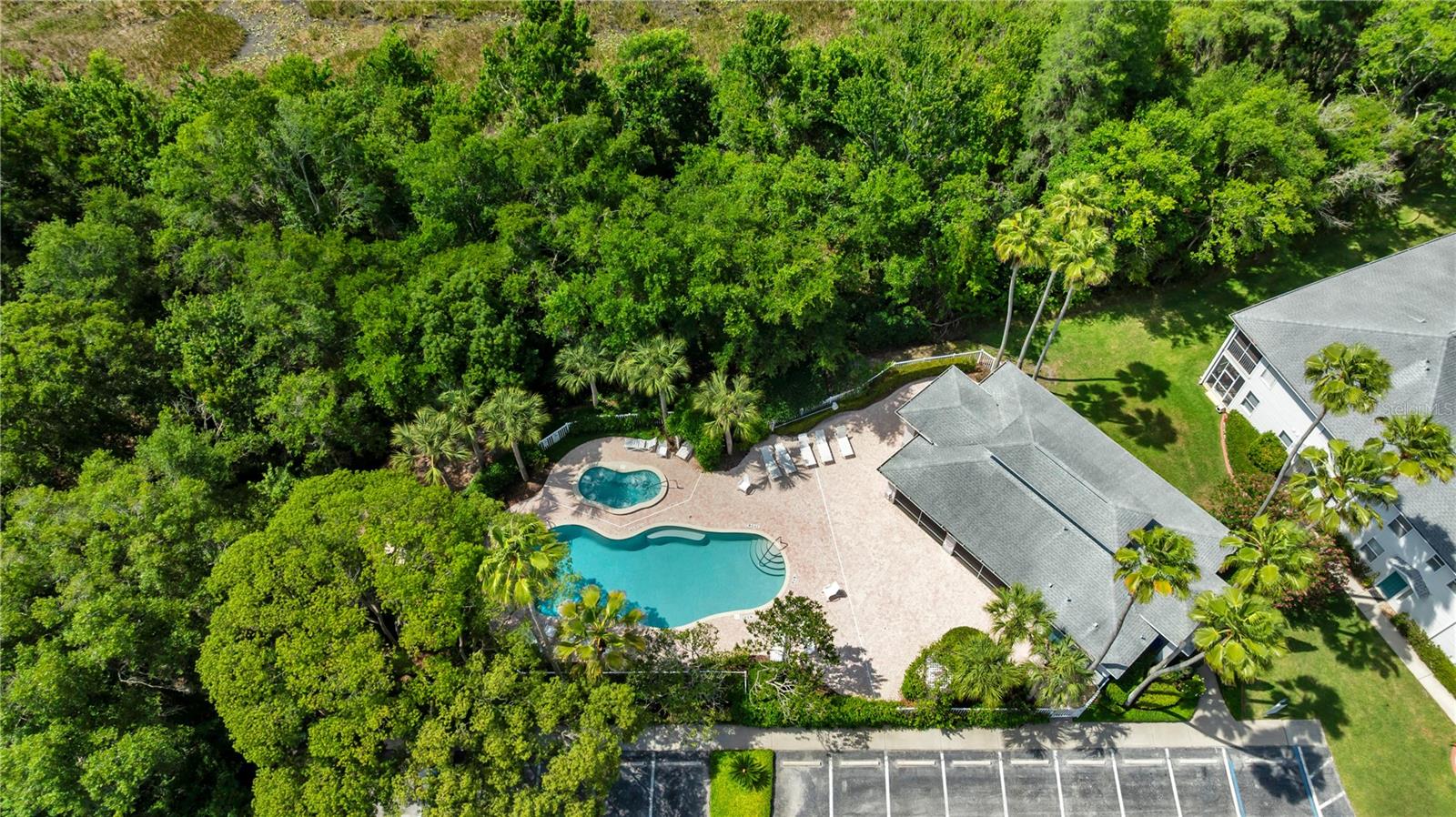 1715 HAMMOCKS AVE #1715, LUTZ, FL — photo 49