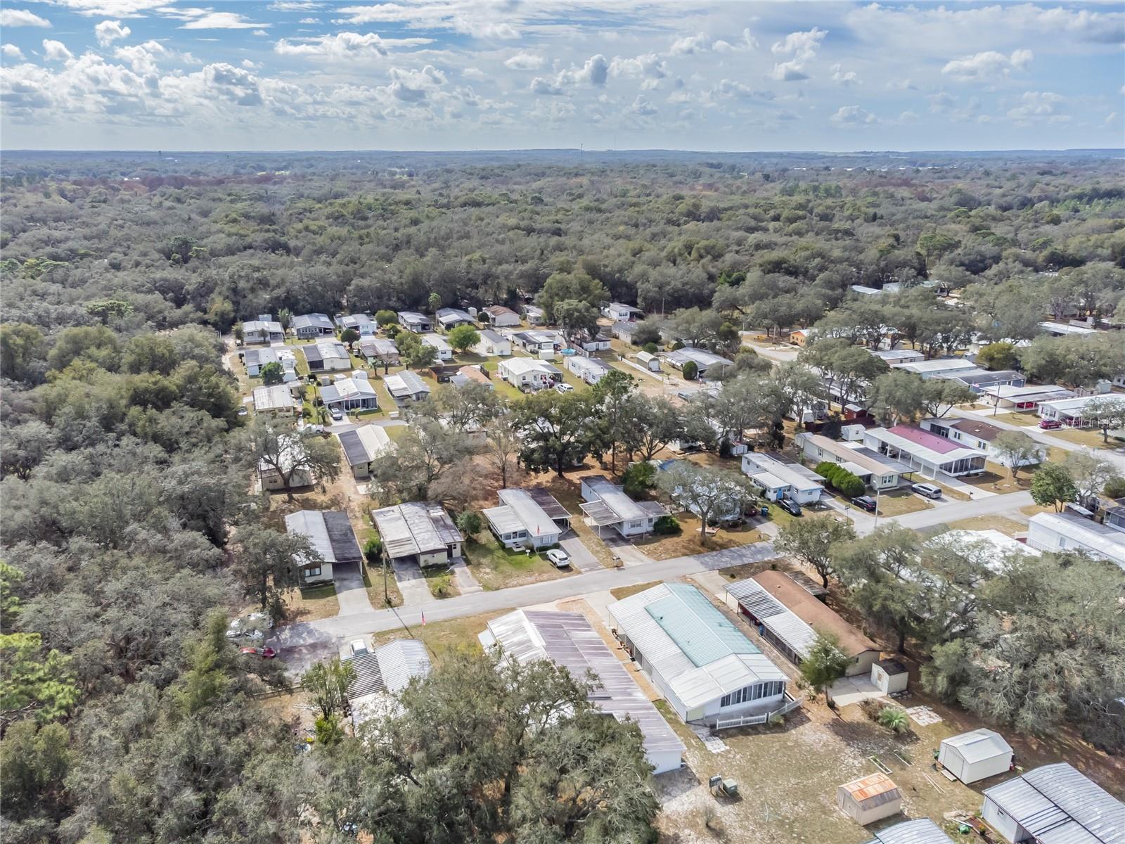 35005 FRASER ST, DADE CITY, FL — photo 5