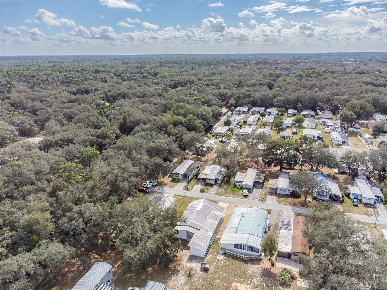 35005 FRASER ST, DADE CITY, FL — photo 6