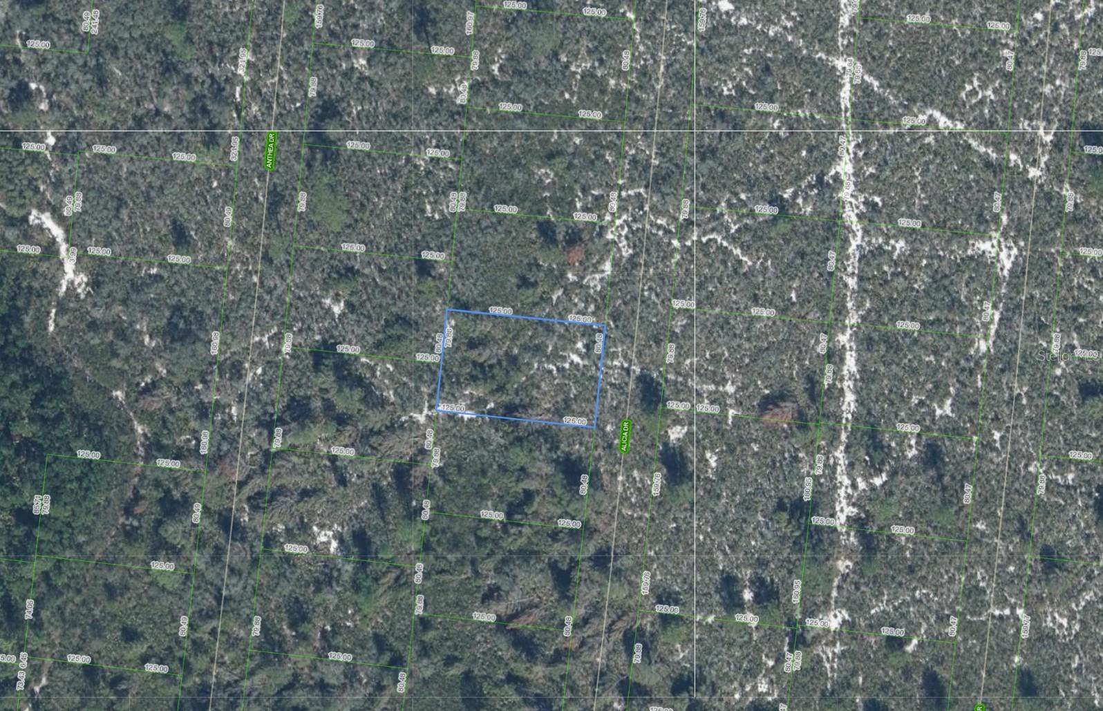 , SEBRING, FL