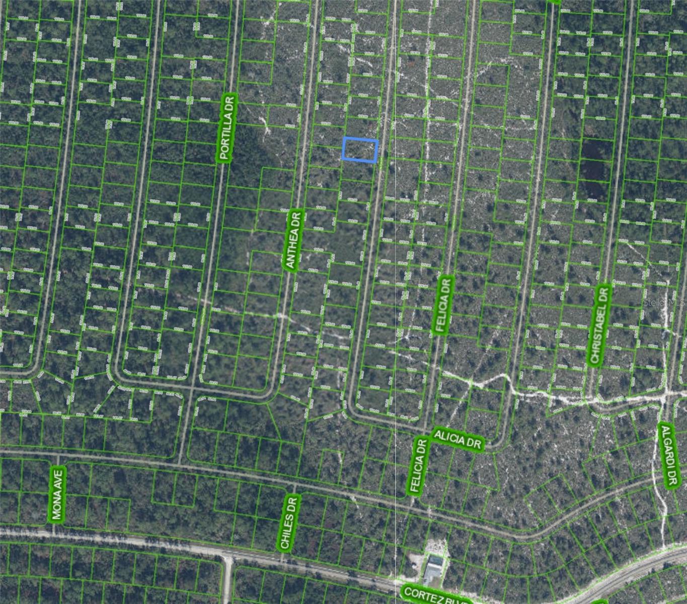 , SEBRING, FL — photo 2