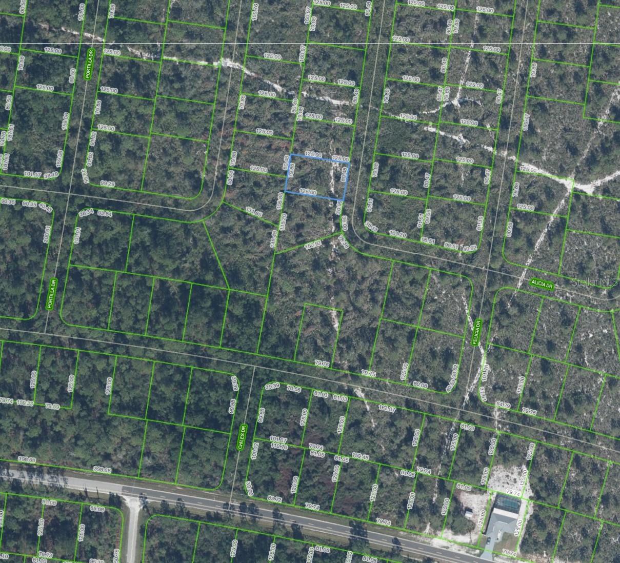 6464 ALICIA DR, SEBRING, FL