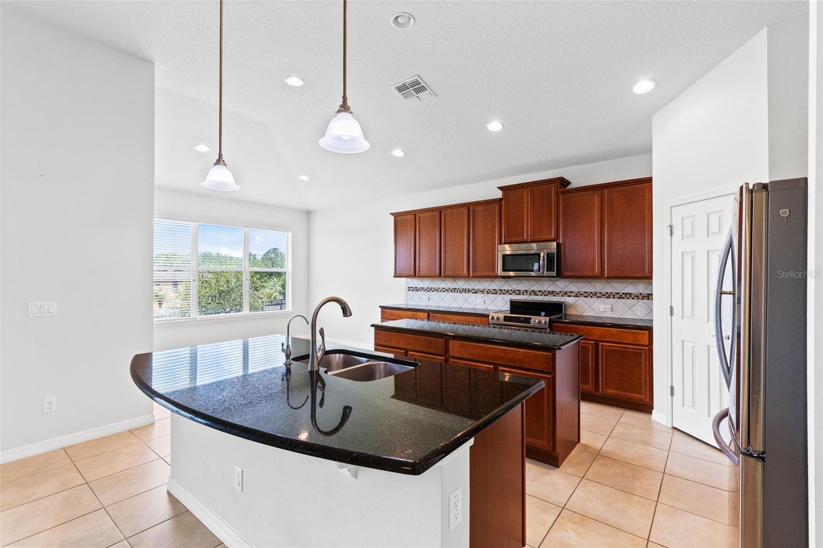30139 HACKNEY LOOP, MOUNT DORA, FL — photo 30