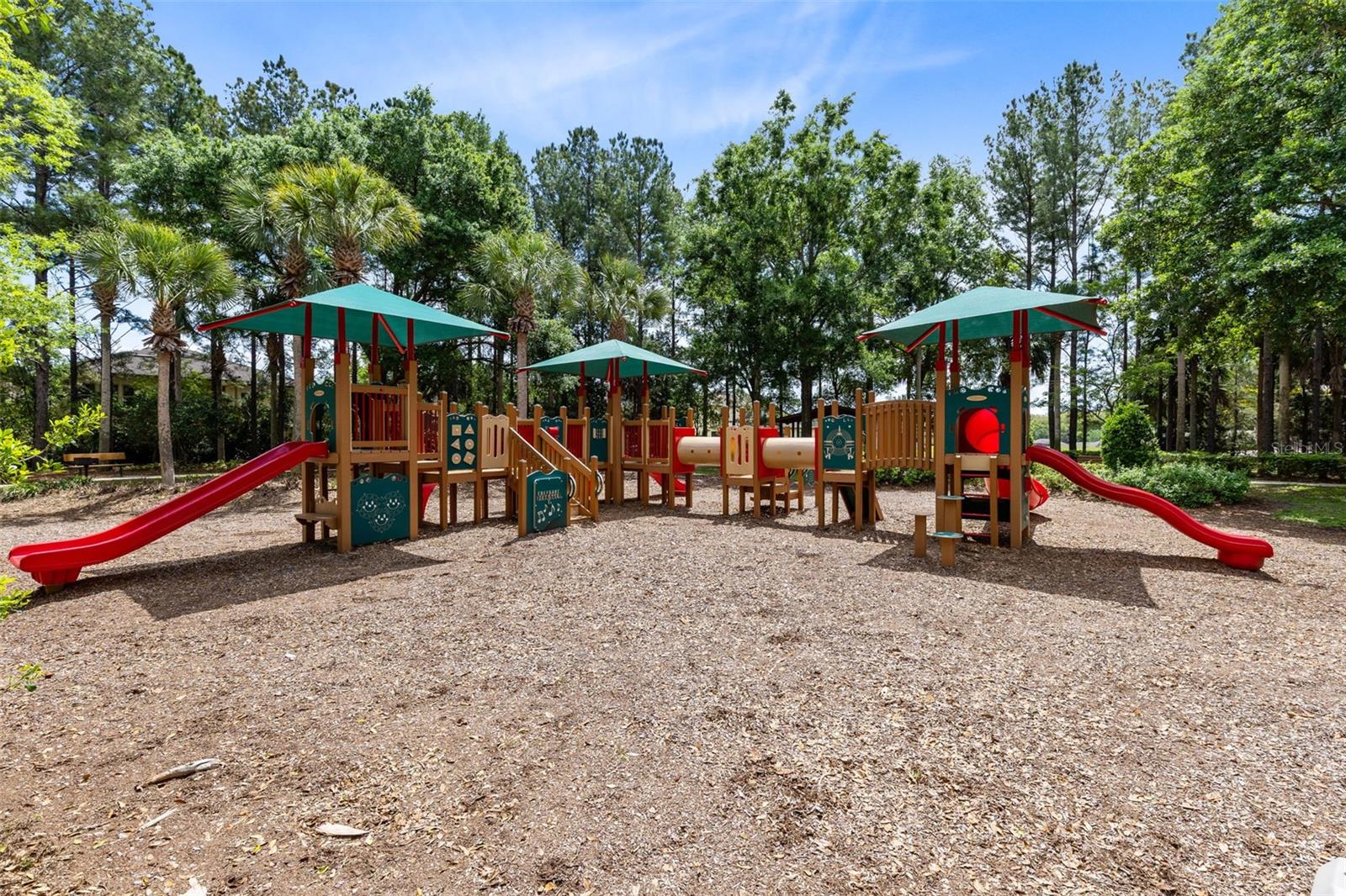 30139 HACKNEY LOOP, MOUNT DORA, FL — photo 74