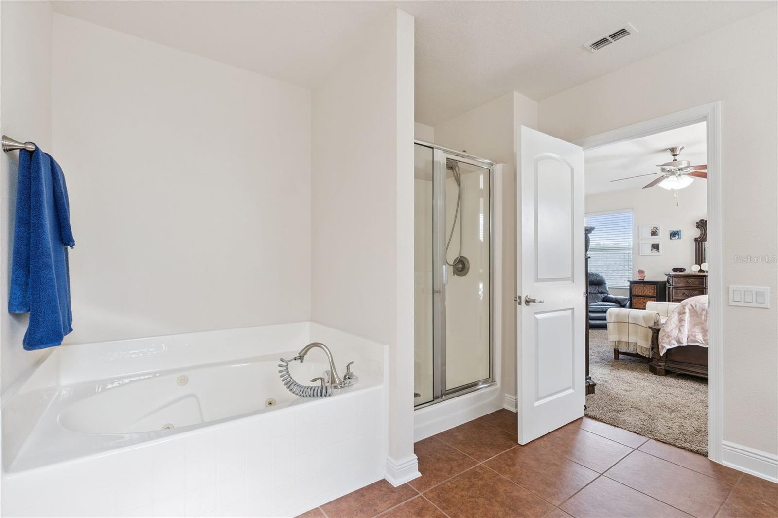 3135 PIZZARO PL, CLERMONT, FL — photo 51