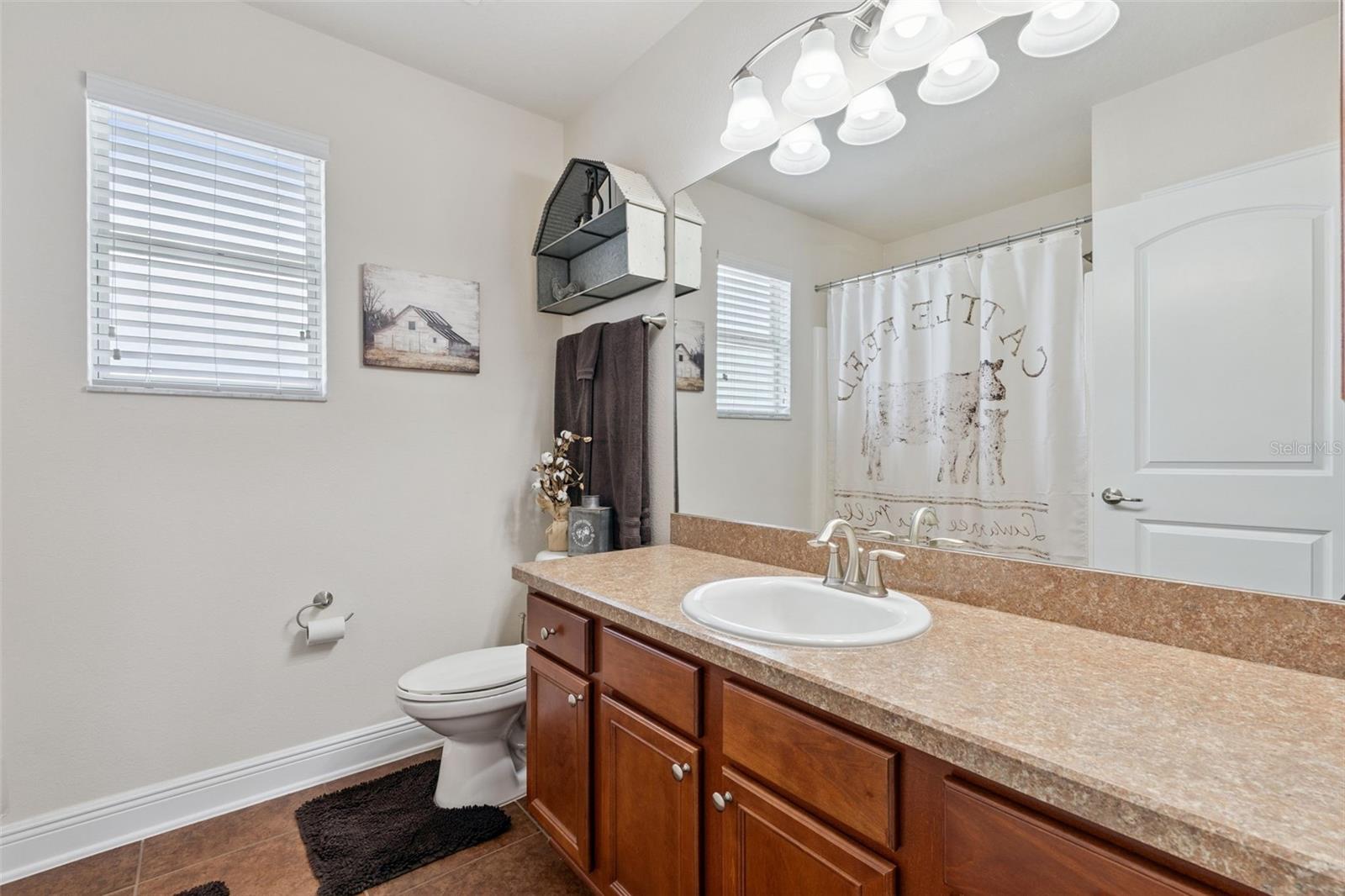 3135 PIZZARO PL, CLERMONT, FL — photo 58