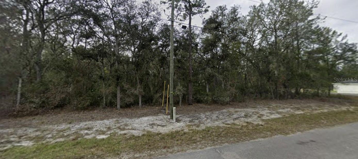 TBD SE FISHER WAY PL, OCKLAWAHA, FL — photo 2