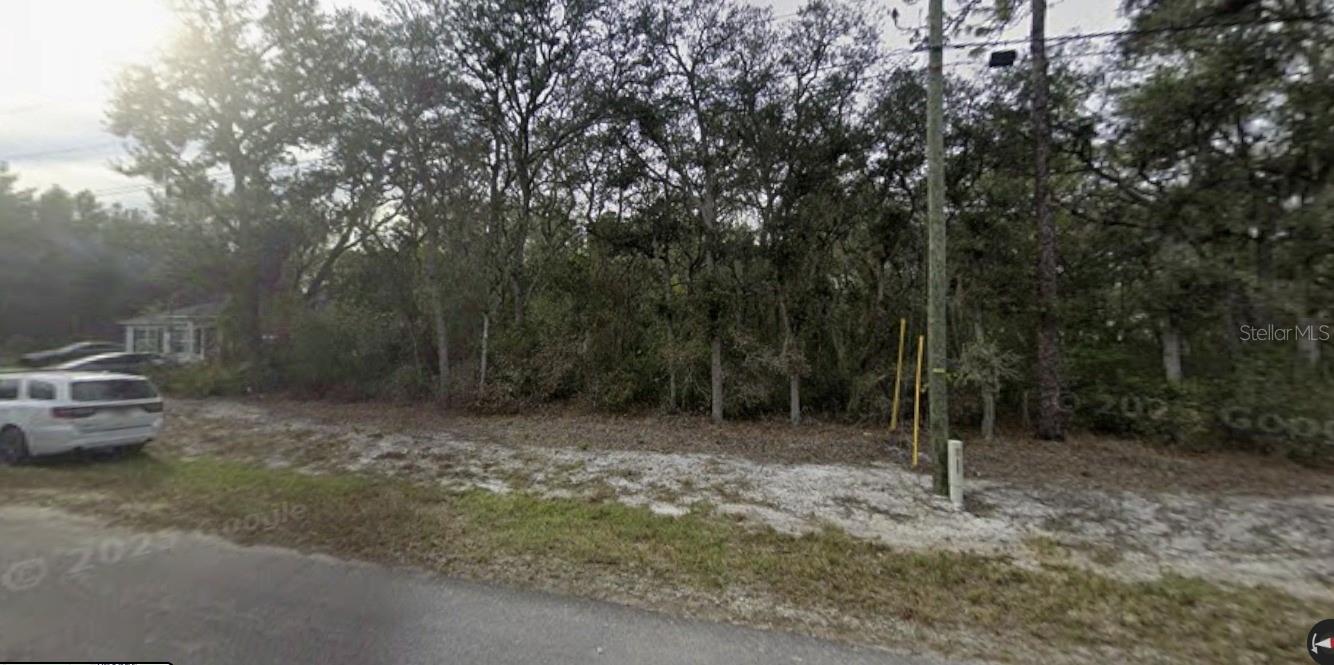 TBD SE FISHER WAY PL, OCKLAWAHA, FL — photo 3