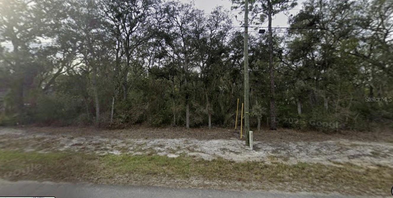 TBD SE FISHER WAY PL, OCKLAWAHA, FL — photo 4