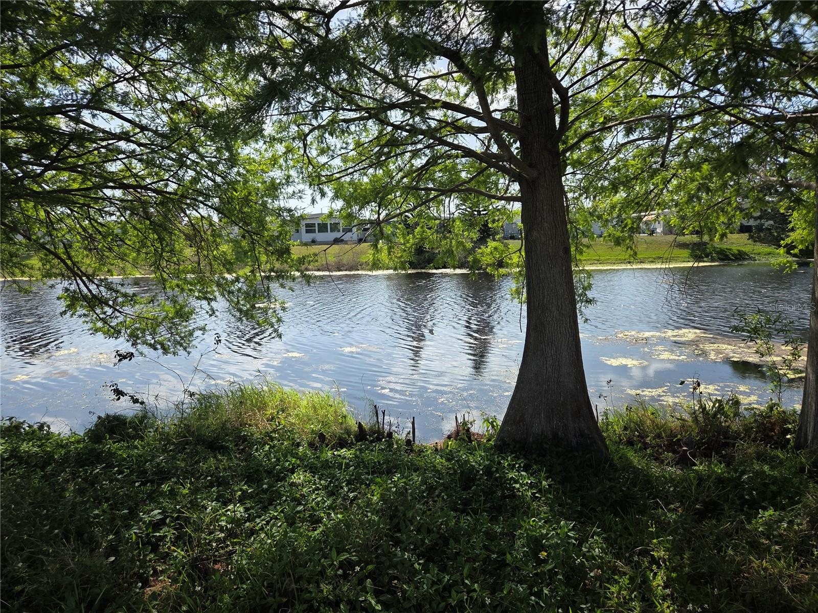 9900 ULMERTON RD #13, LARGO, FL — photo 21