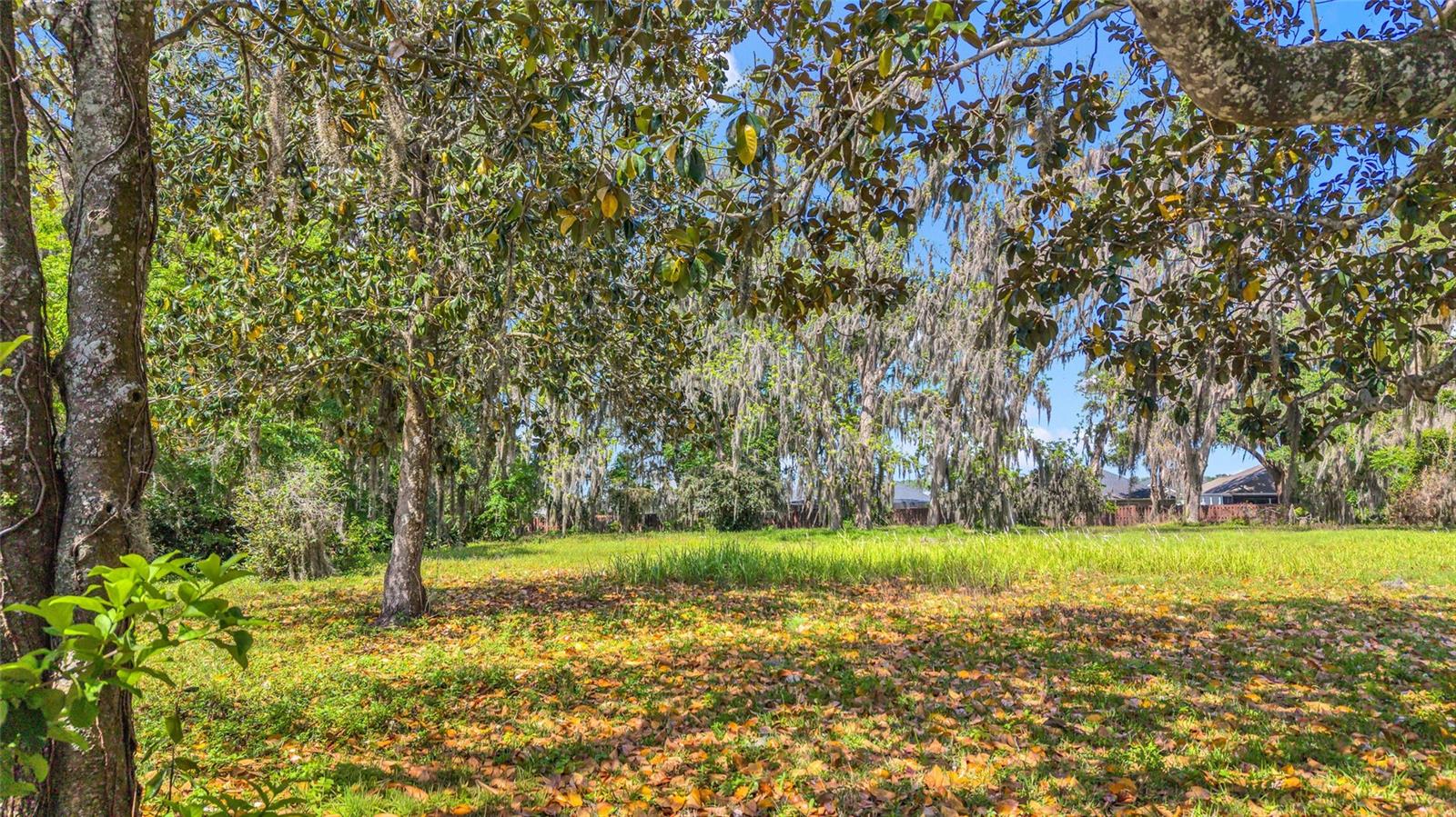 11338 N US HIGHWAY 301, OXFORD, FL — photo 16