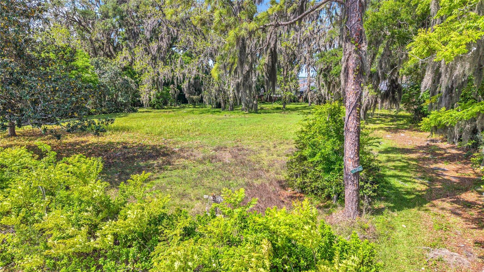 11338 N US HIGHWAY 301, OXFORD, FL — photo 17
