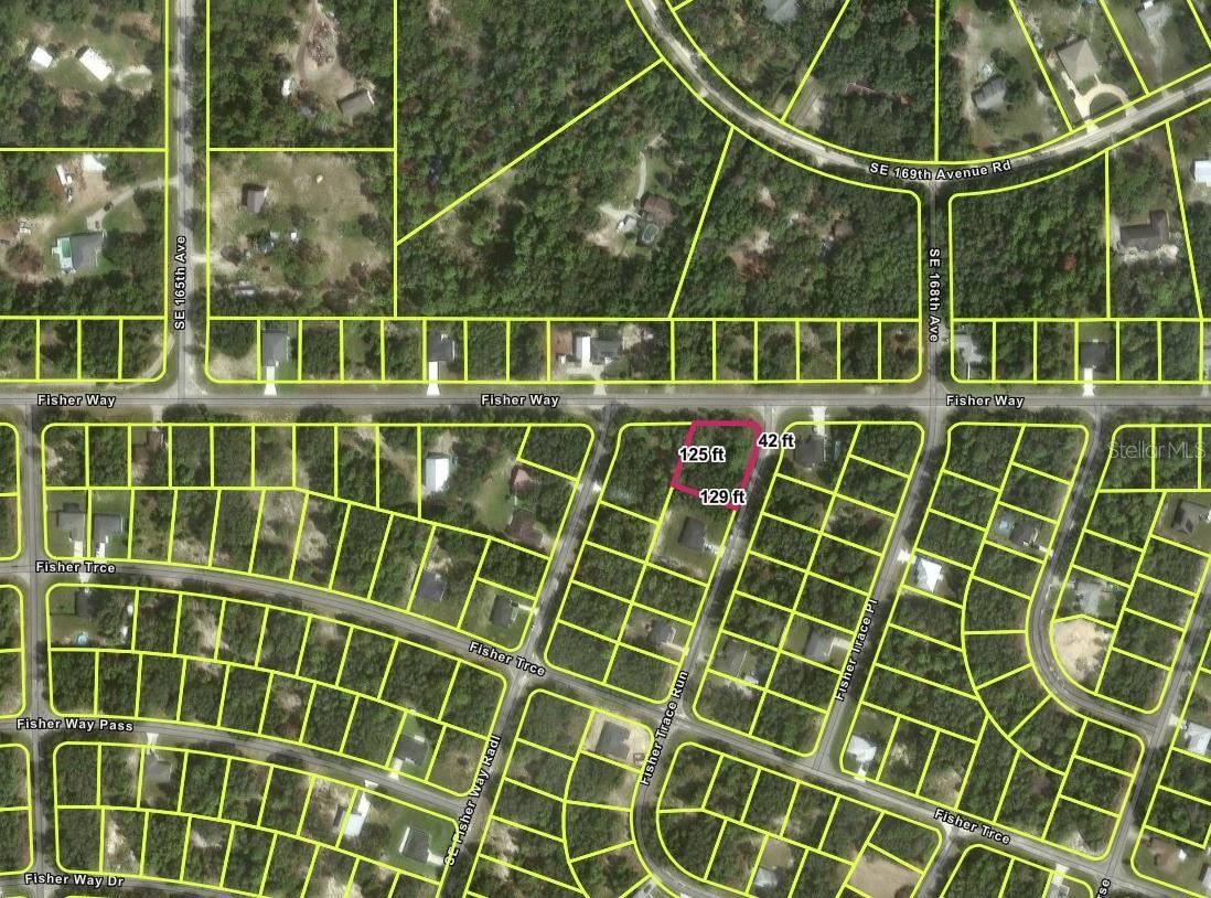 TBD FISHER WAY, OCKLAWAHA, FL — photo 2