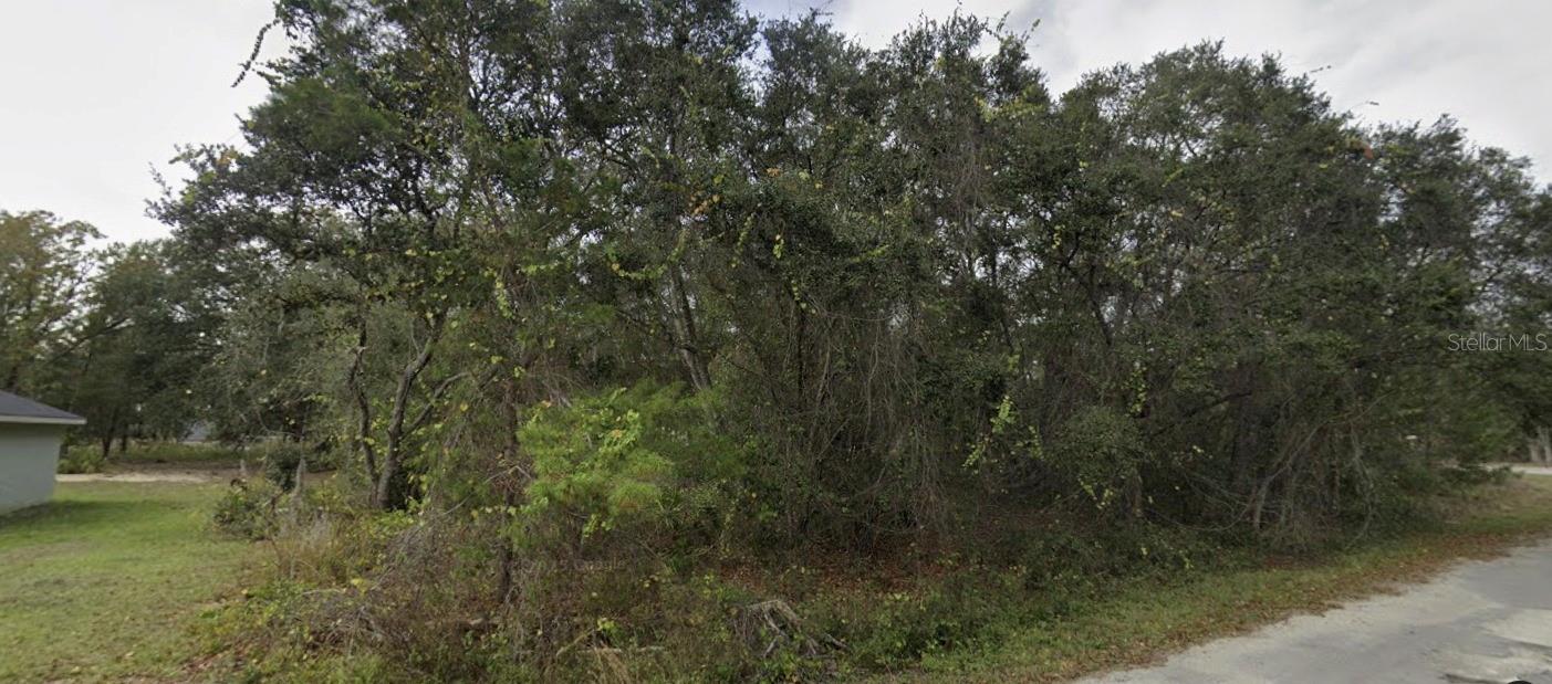 TBD FISHER WAY, OCKLAWAHA, FL — photo 6